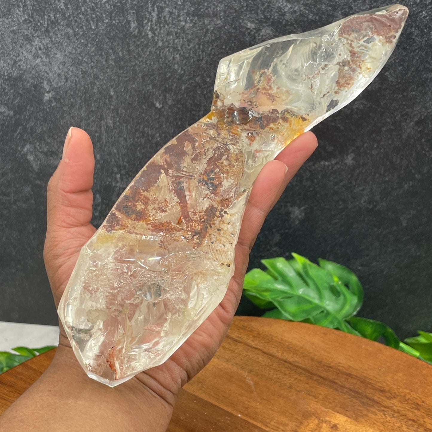 Rare Rabbit and Carrot Clear Quartz Carving - Sage & Magic