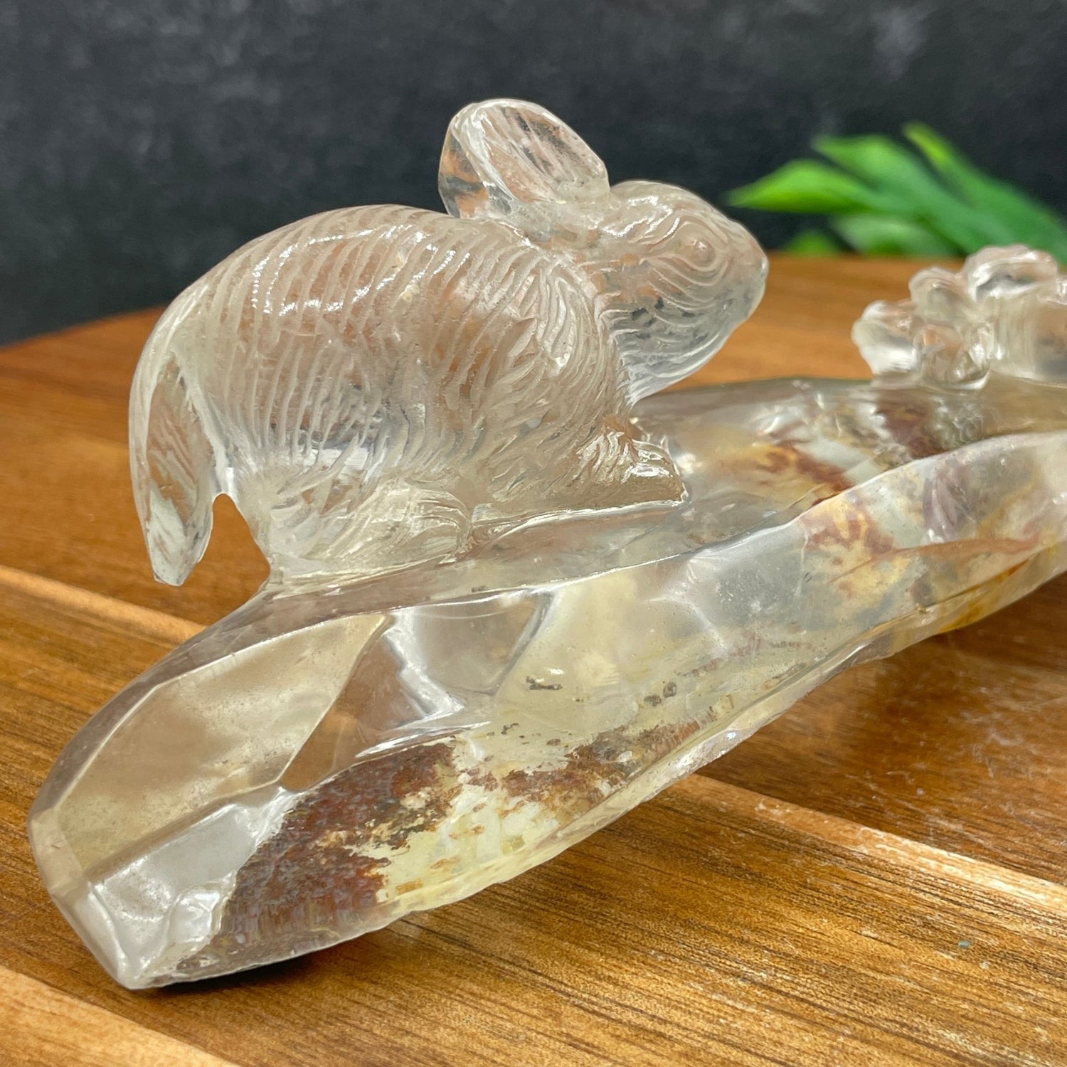 Rare Rabbit and Carrot Clear Quartz Carving - Sage & Magic