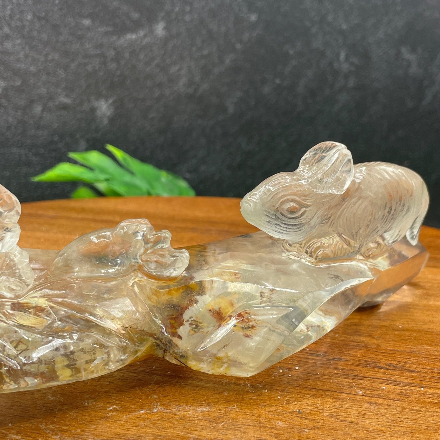 Rare Rabbit and Carrot Clear Quartz Carving - Sage & Magic