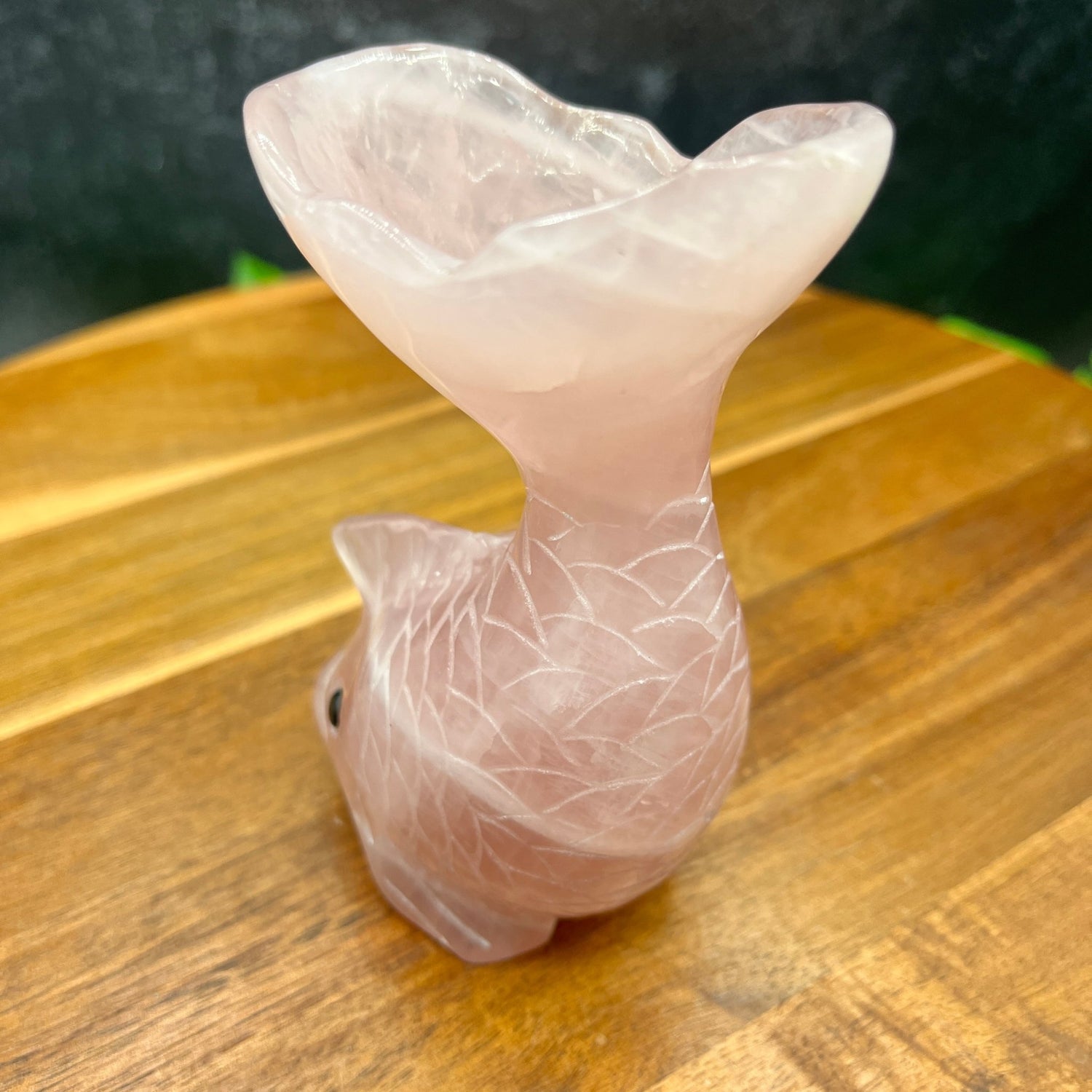 Rose Quartz Fish Bowl Sphere Holder - Sage & Magic