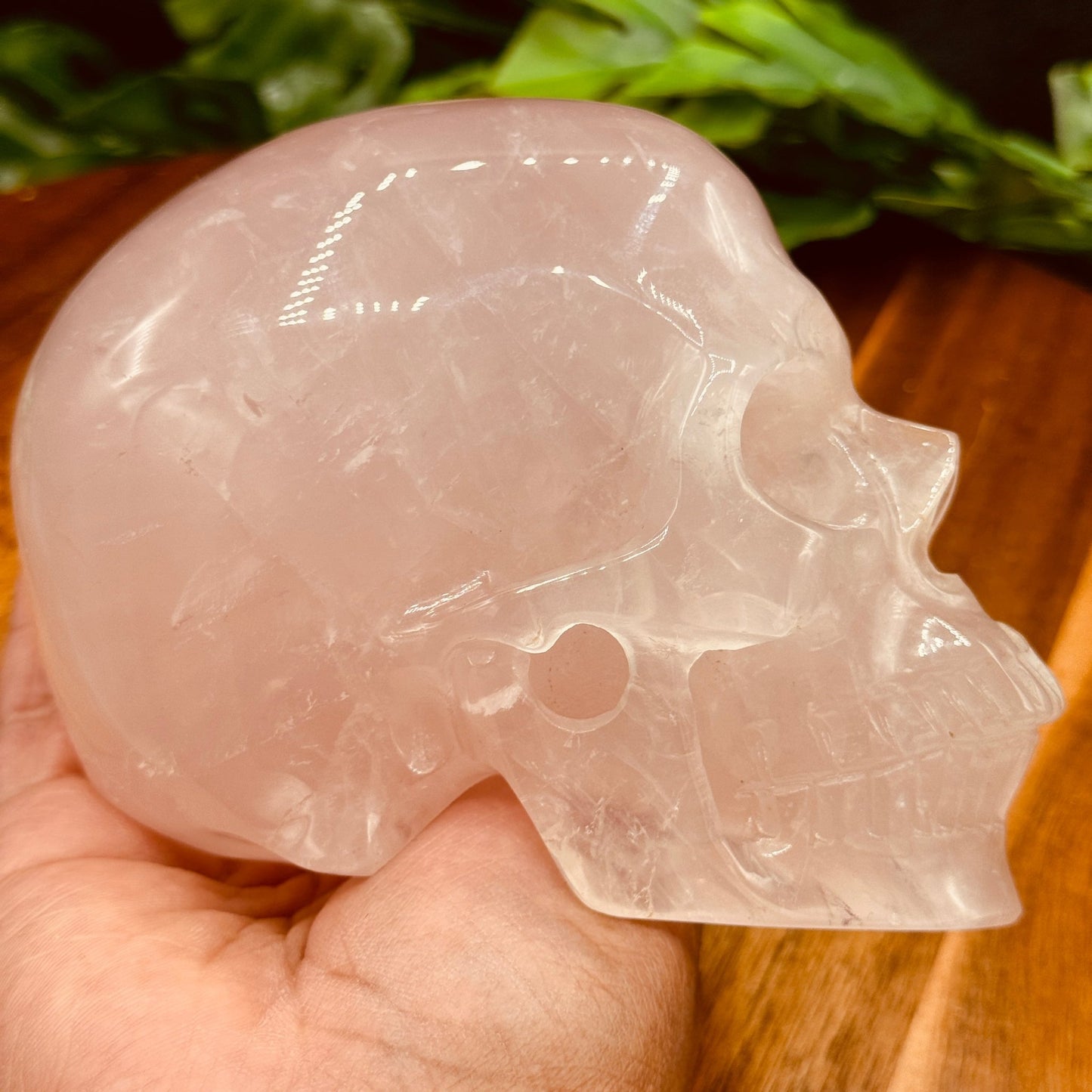 Rose Quartz Skull - Sage & Magic