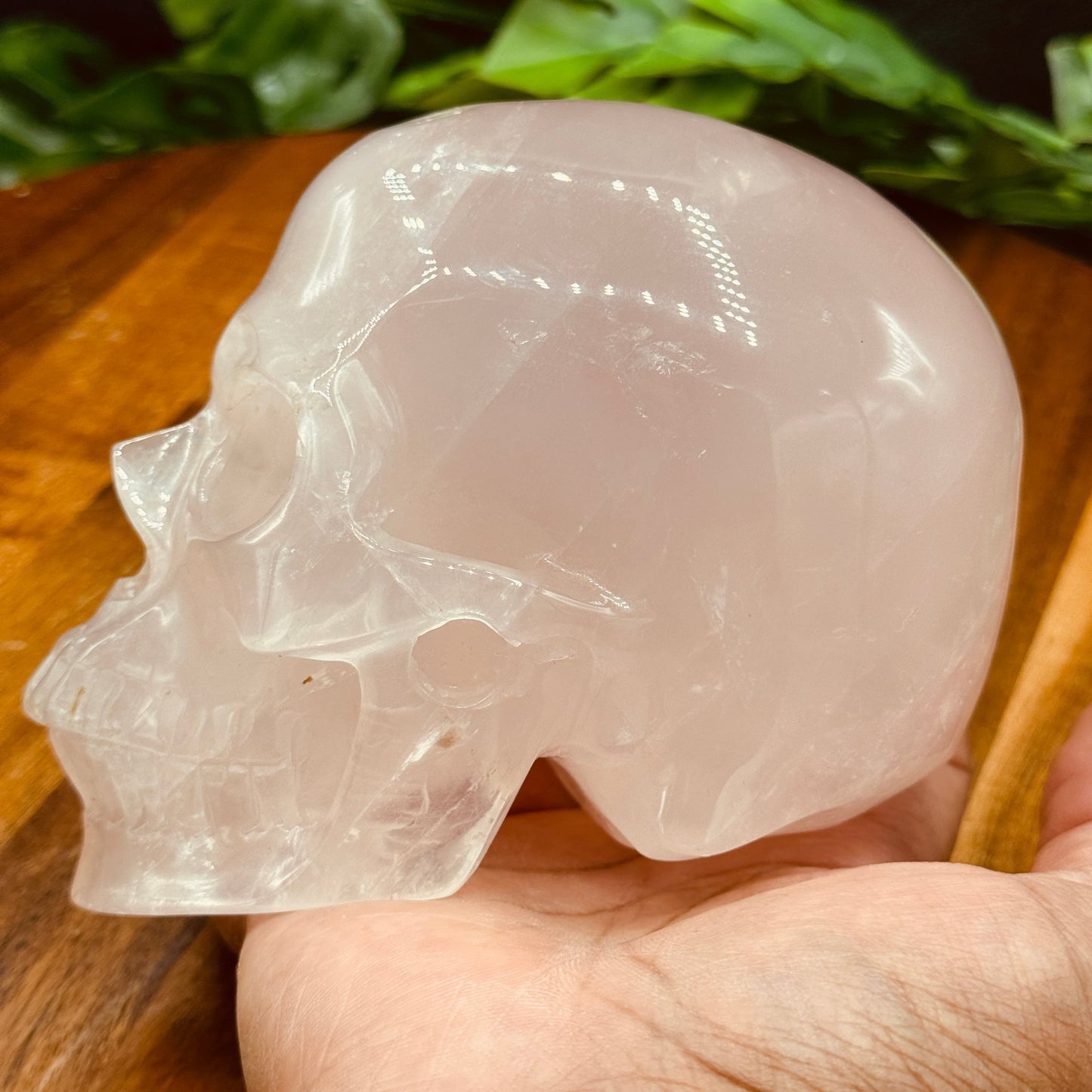 Rose Quartz Skull - Sage & Magic