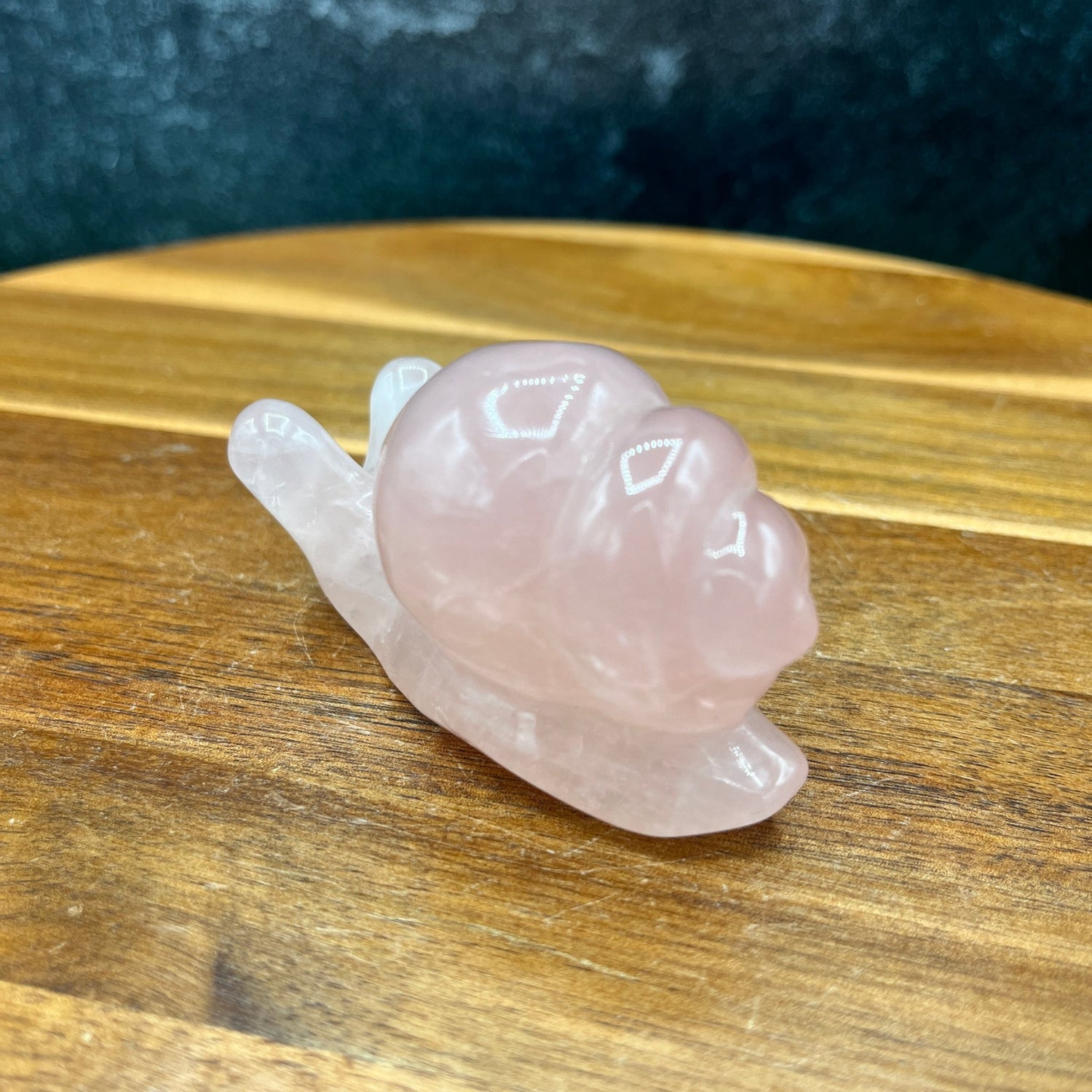 Rose Quartz Snail - Sage & Magic