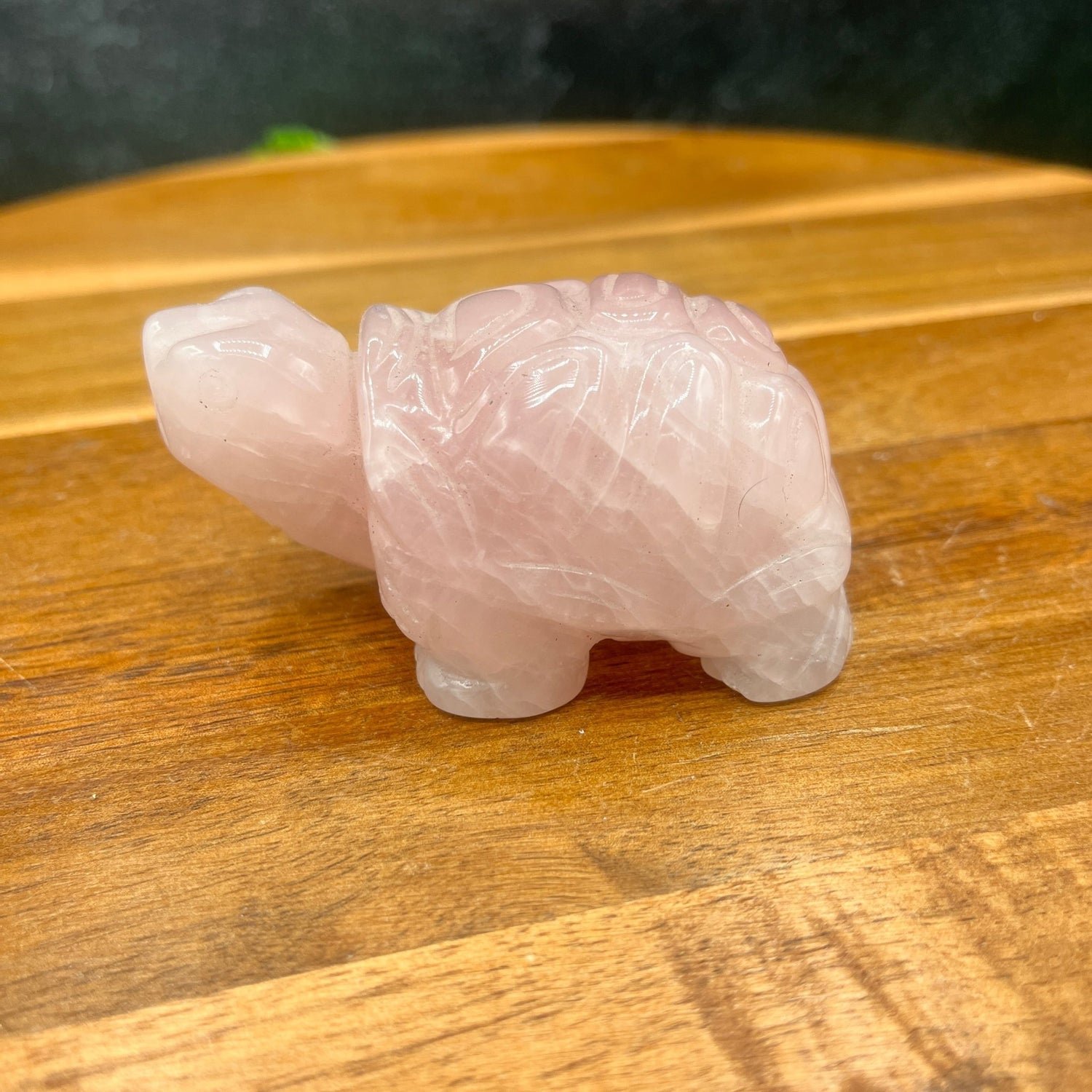 Rose Quartz Turtle - Sage & Magic