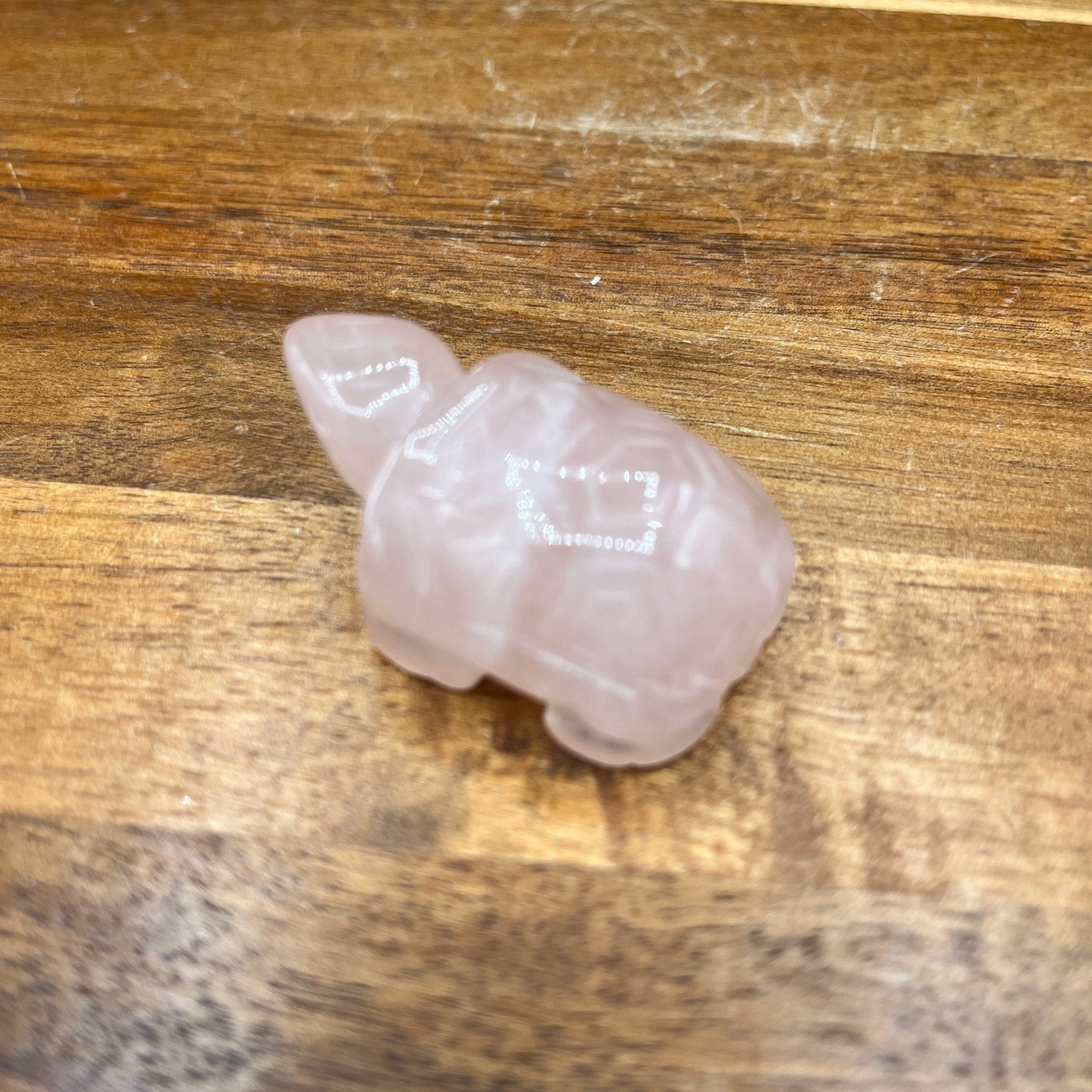 Rose Quartz Turtle - Sage & Magic