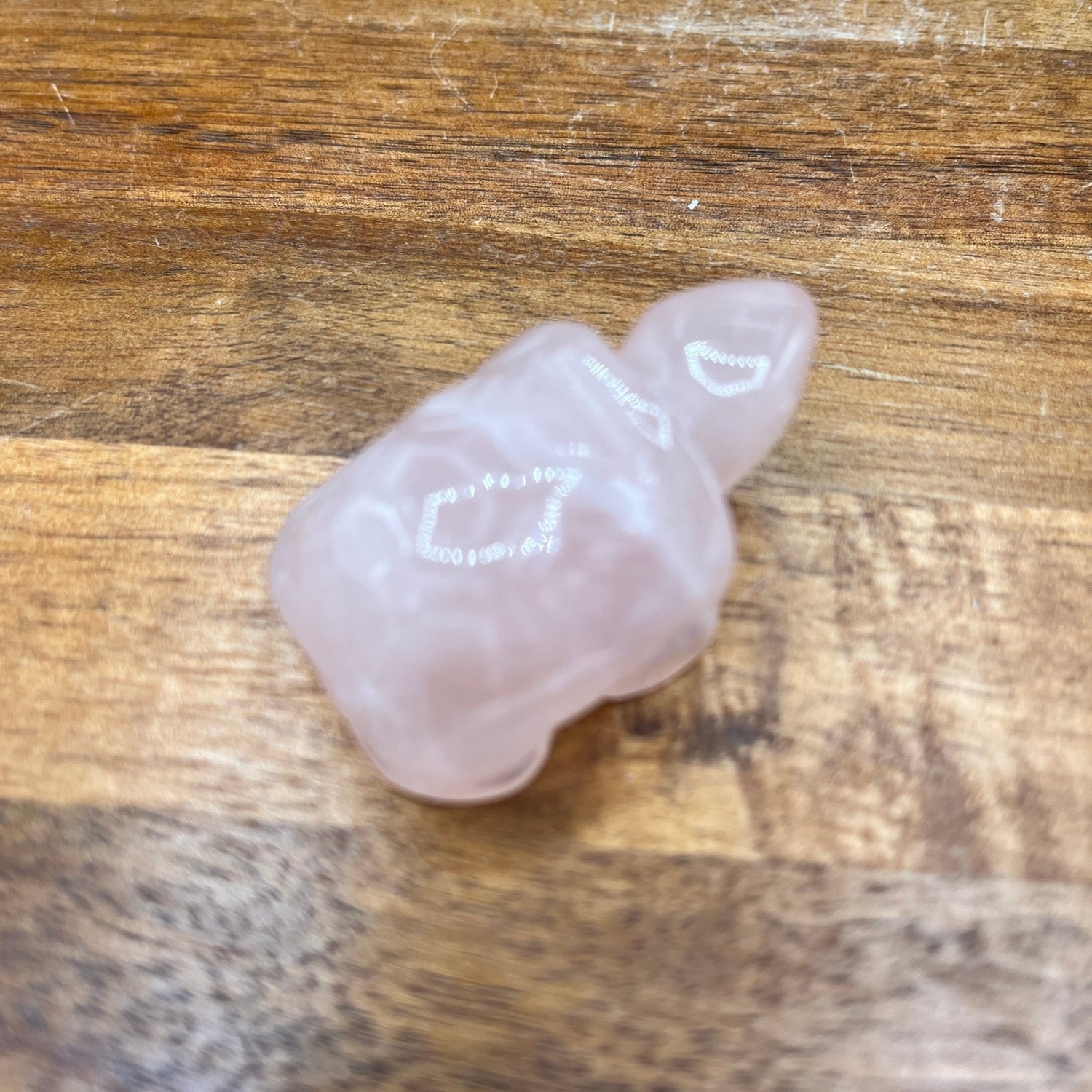 Rose Quartz Turtle - Sage & Magic