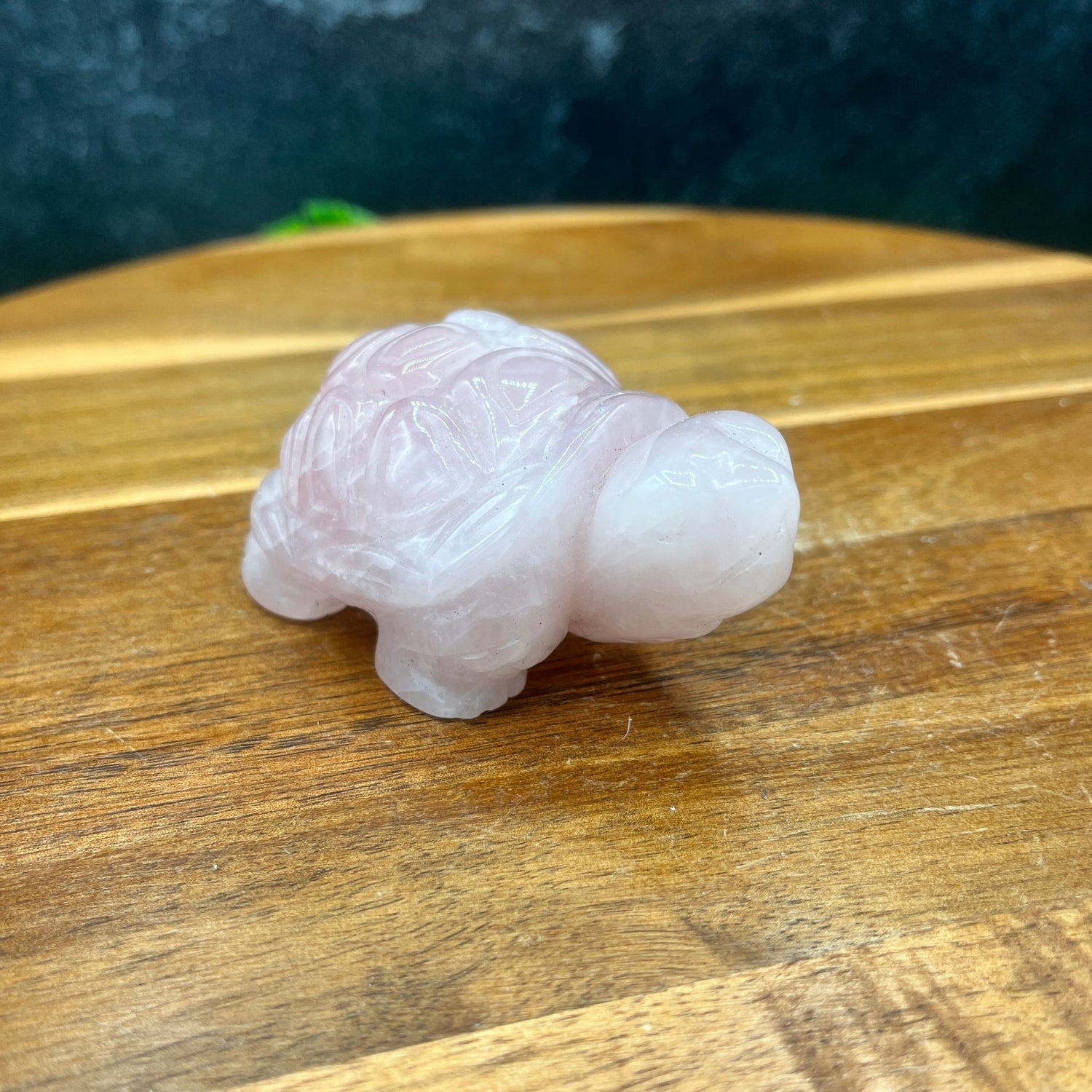 Rose Quartz Turtle - Sage & Magic