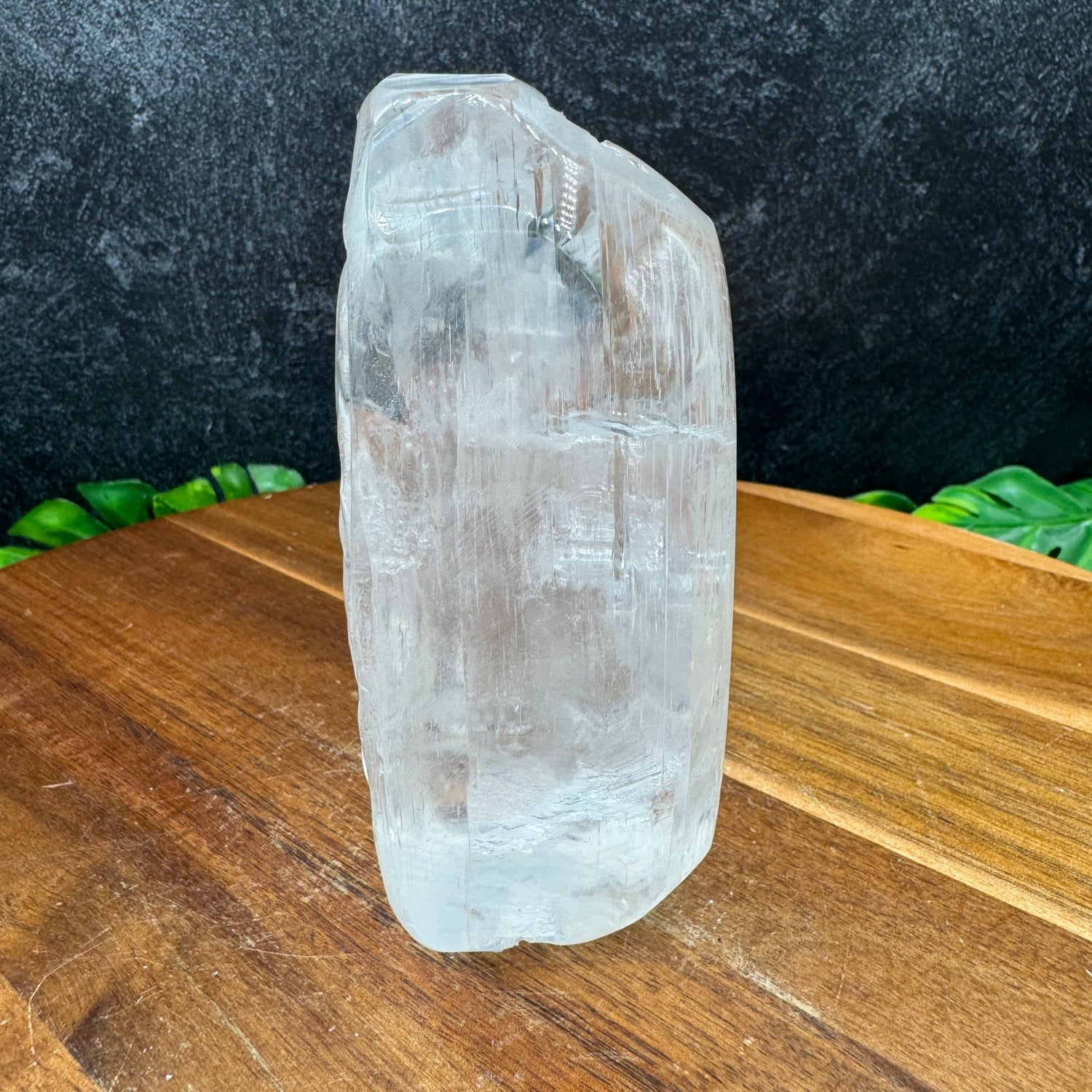 Selenite Tiger Carving - Sage & Magic