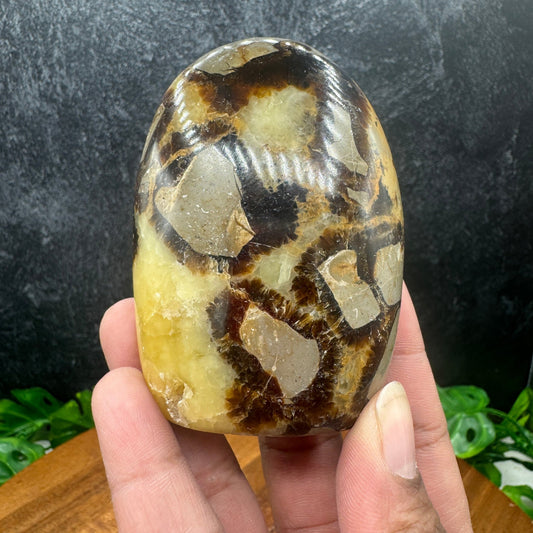 Septarian Freeform - Sage & Magic