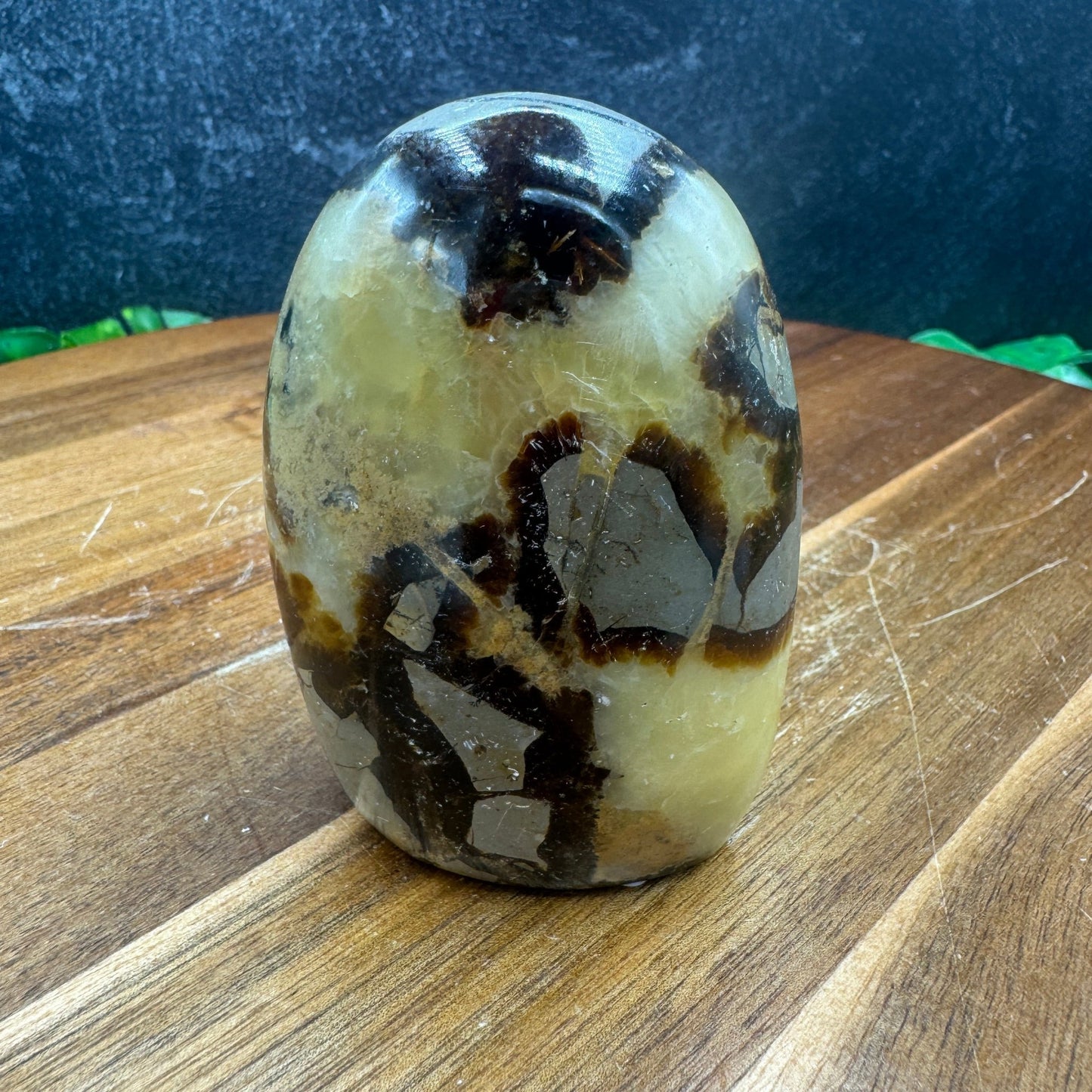 Septarian Freeform - Sage & Magic