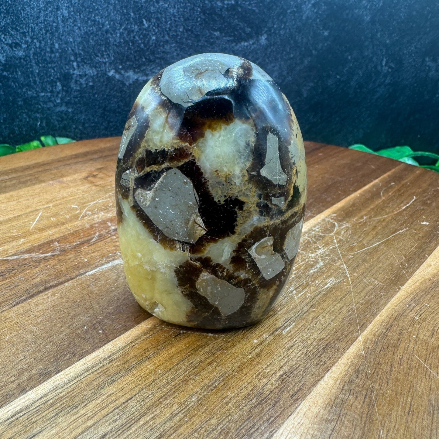 Septarian Freeform - Sage & Magic