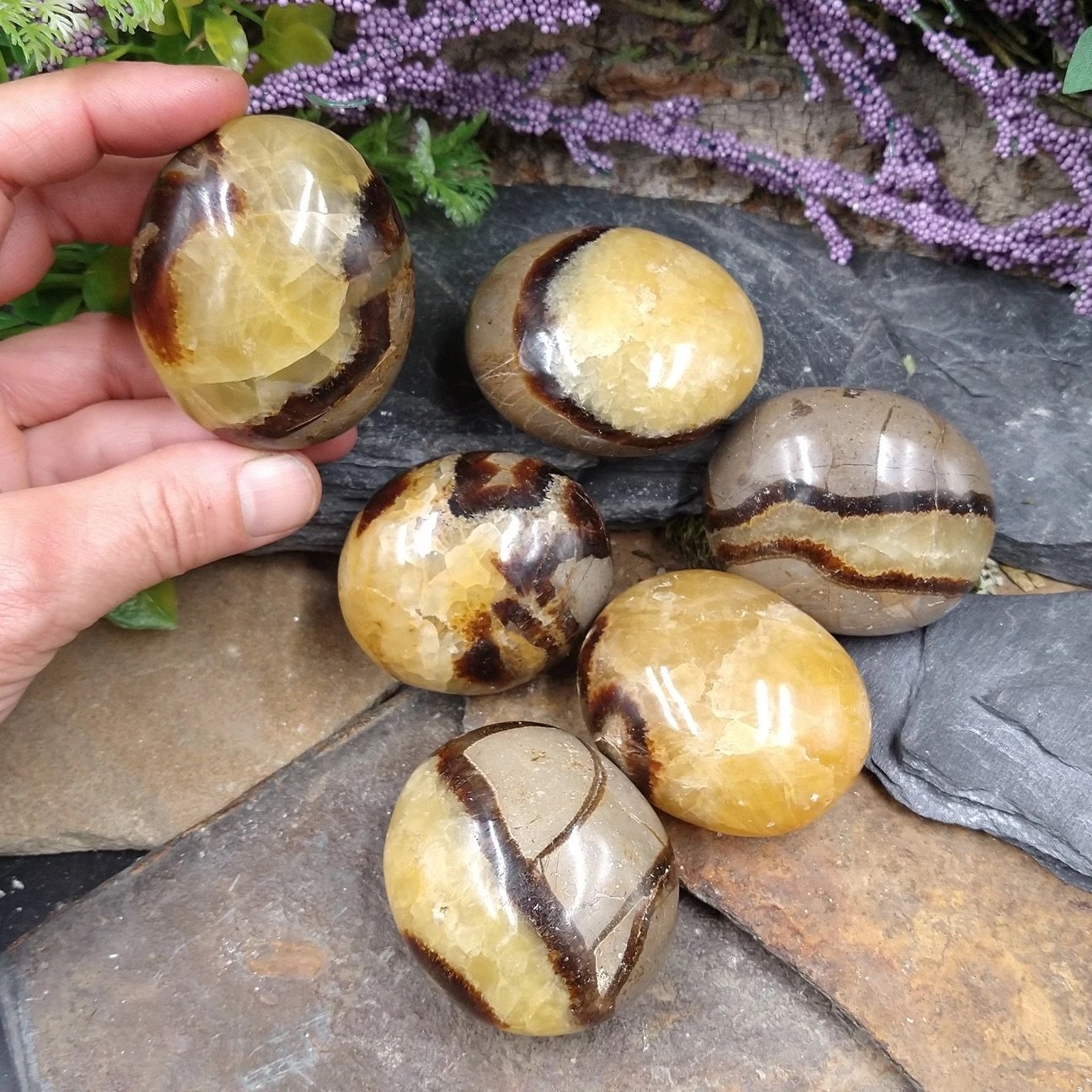 Septarian Nodule Palm Stone - Sage & Magic