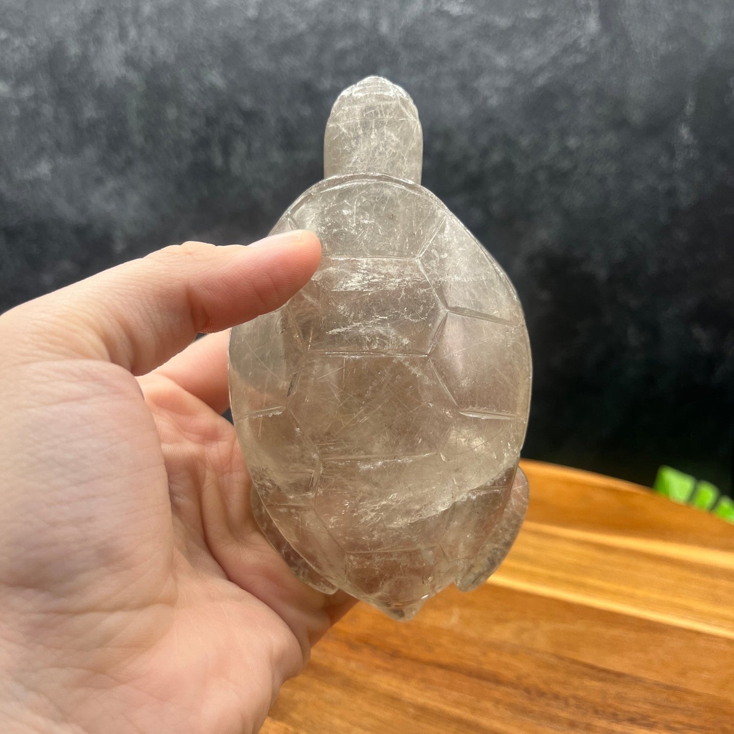 Silver Rutile in Quartz Turtle - Sage & Magic