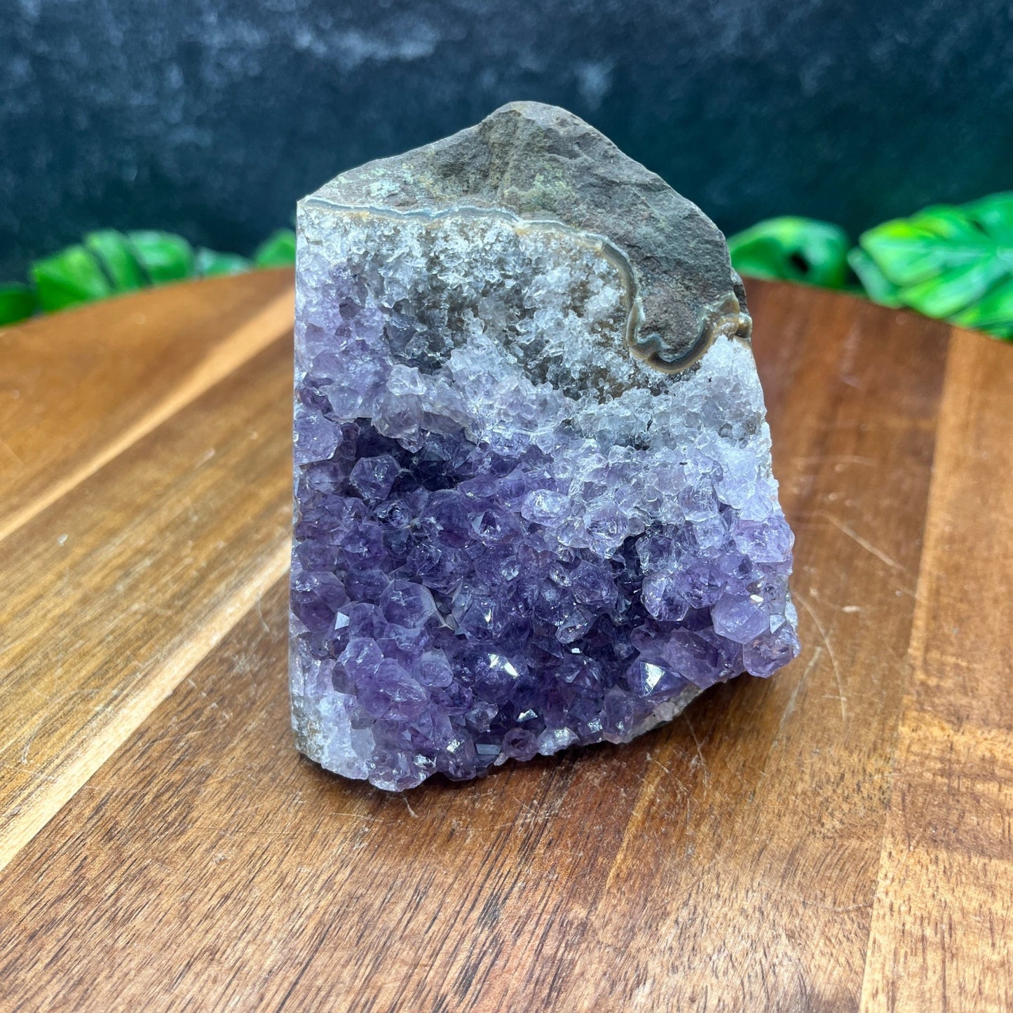 Skull Amethyst Geode - Sage & Magic