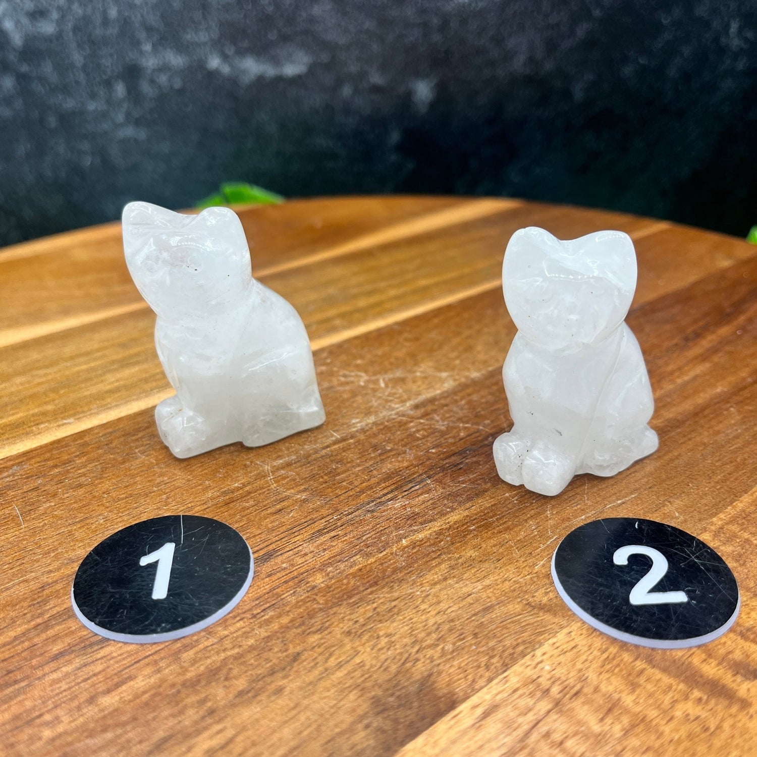 Small Clear Quartz Cat Carving - Sage & Magic