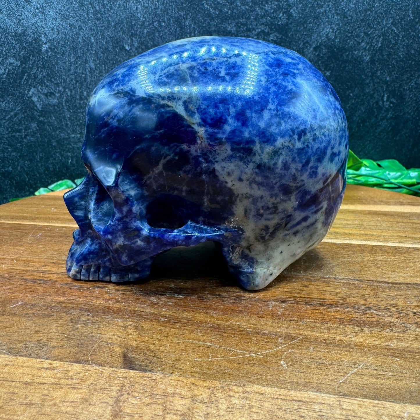 Sodalite Jawless Skull - Sage & Magic