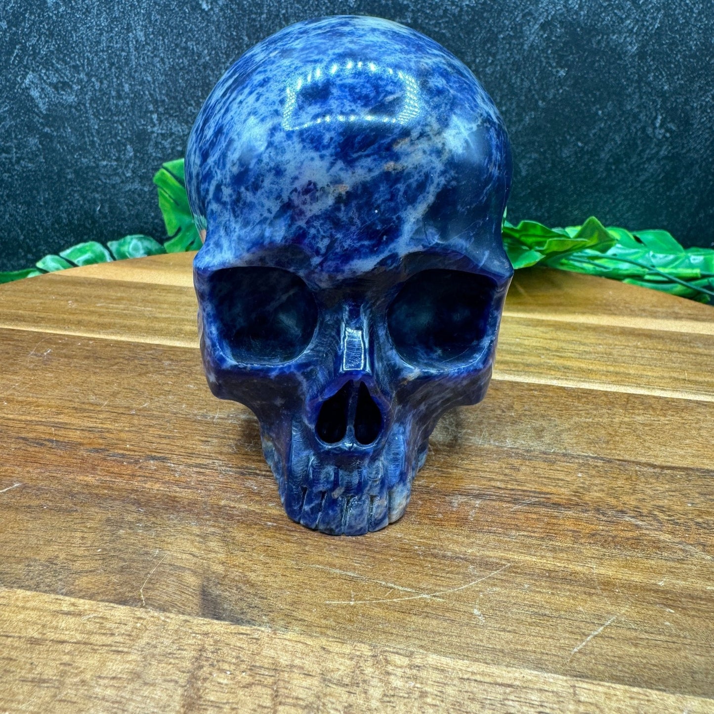 Sodalite Jawless Skull - Sage & Magic