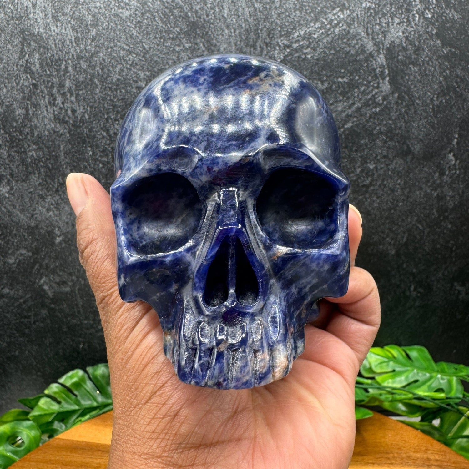 Sodalite Jawless Skull - Sage & Magic