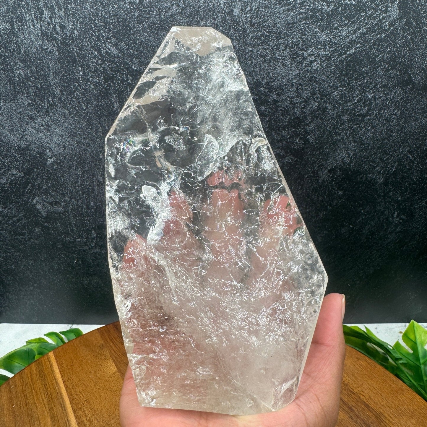 Split Clear Quartz Freeform - Sage & Magic