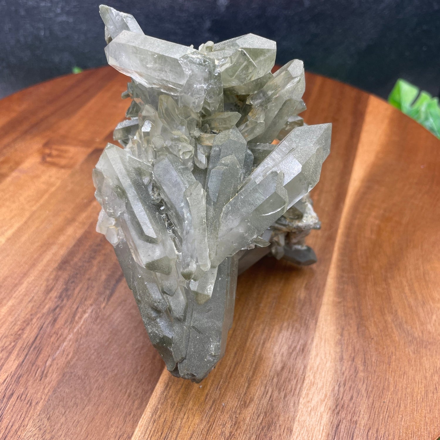 Tabby Chlorite in Quartz - Sage & Magic