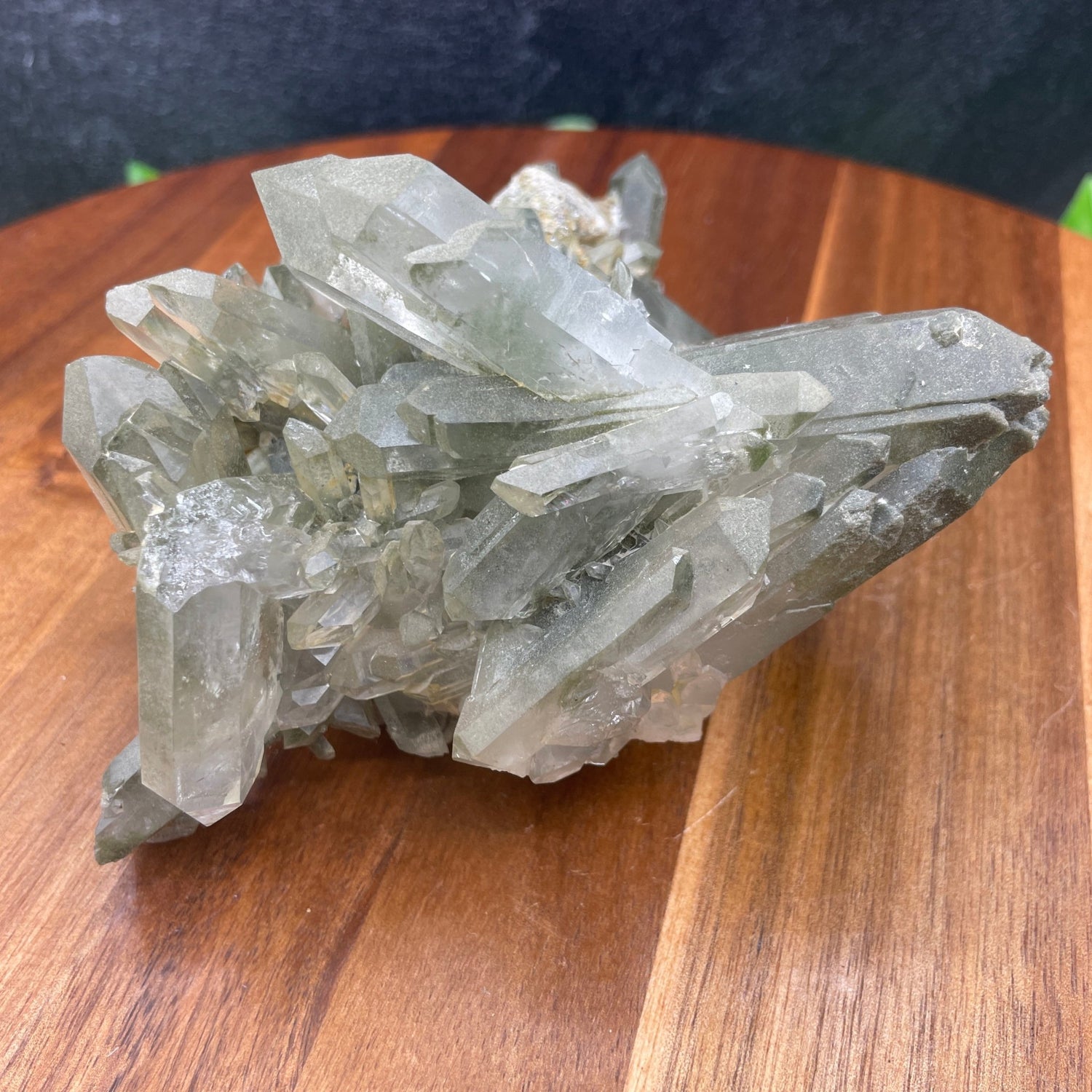 Tabby Chlorite in Quartz - Sage & Magic