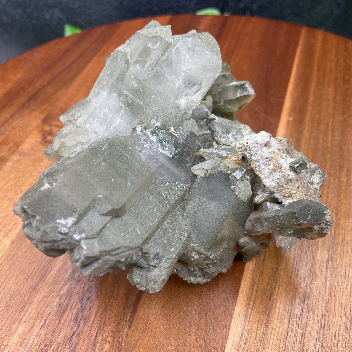 Tabby Chlorite in Quartz - Sage & Magic