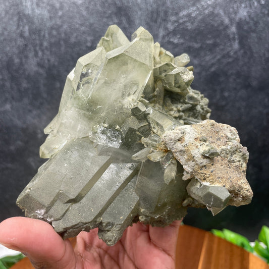 Tabby Chlorite in Quartz - Sage & Magic