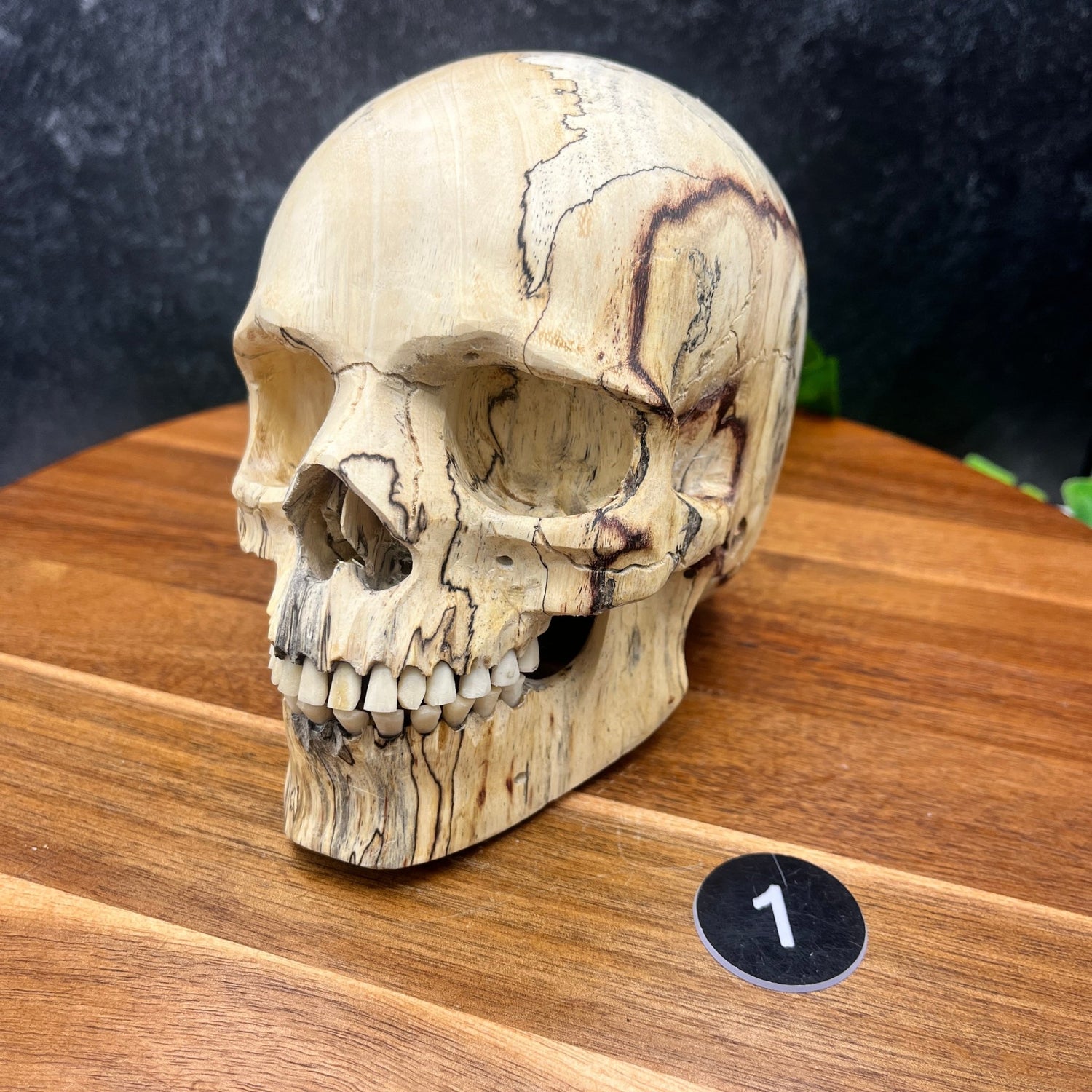 Tamarind Wood Skull - Sage & Magic