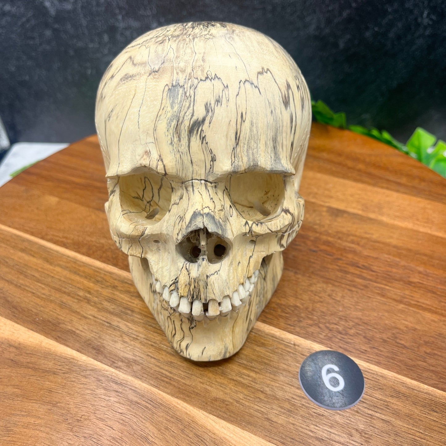 Tamarind Wood Skull - Sage & Magic