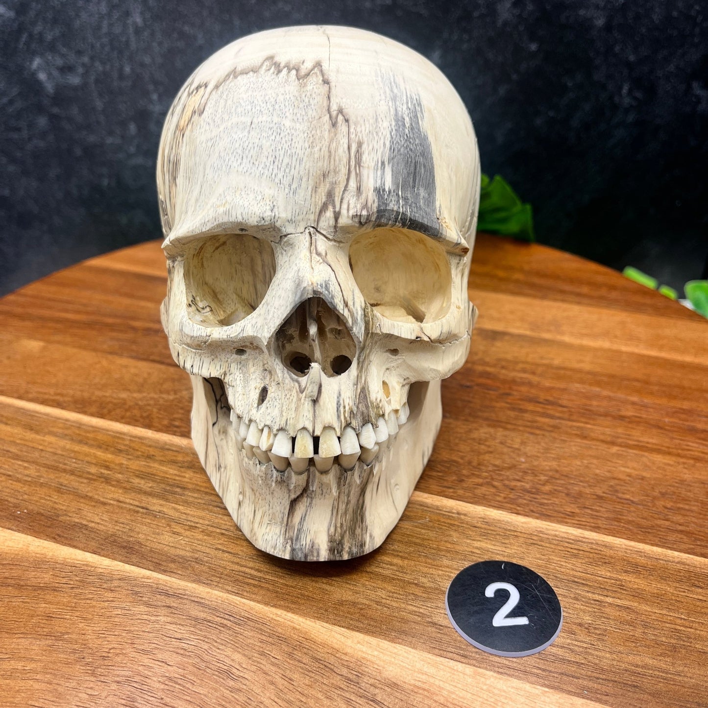 Tamarind Wood Skull - Sage & Magic