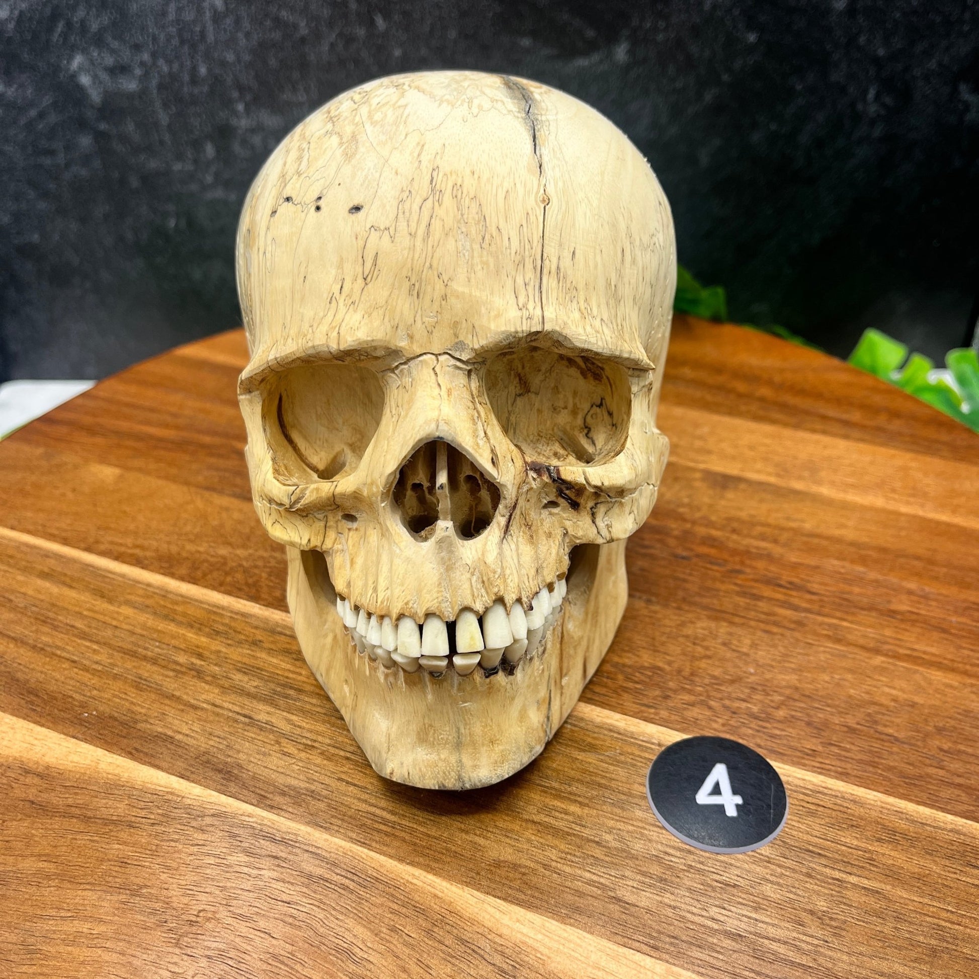 Tamarind Wood Skull - Sage & Magic