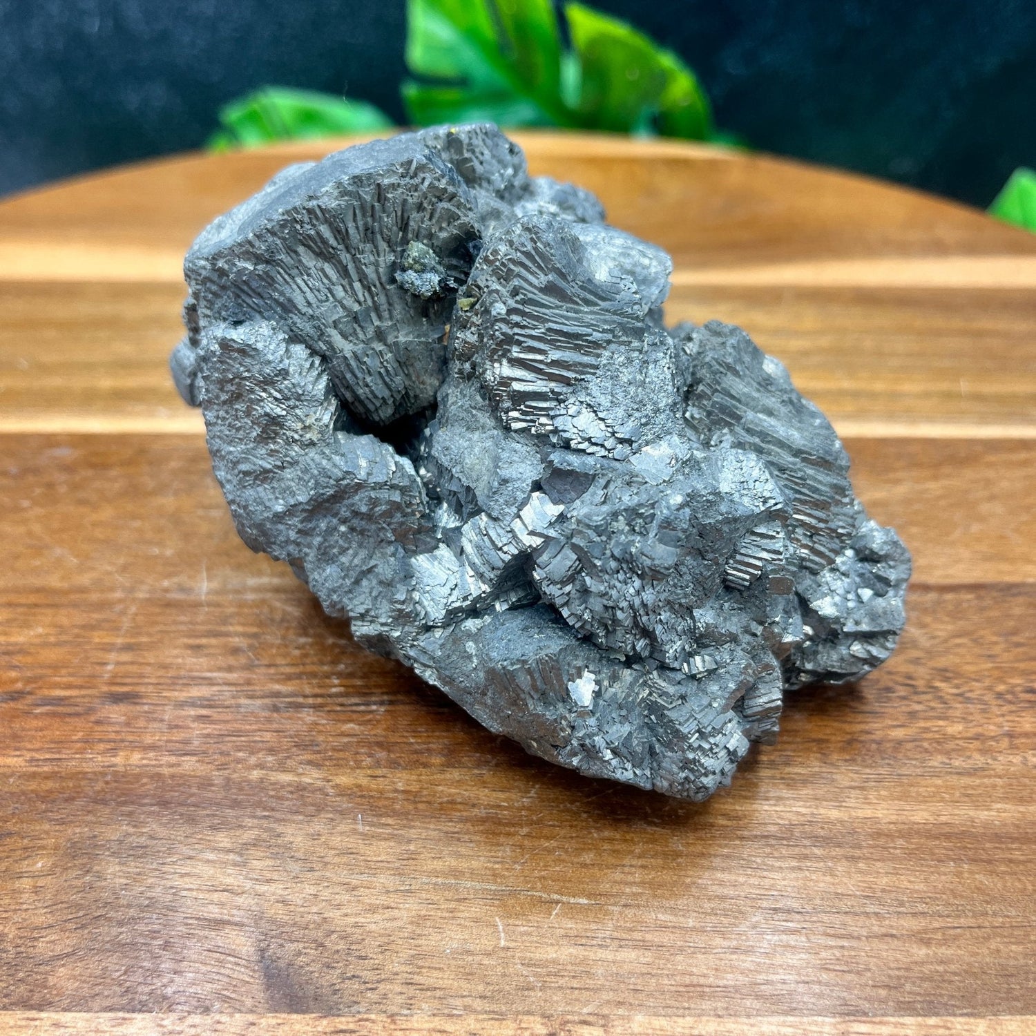 Terminated Hematite Specimen - Sage & Magic