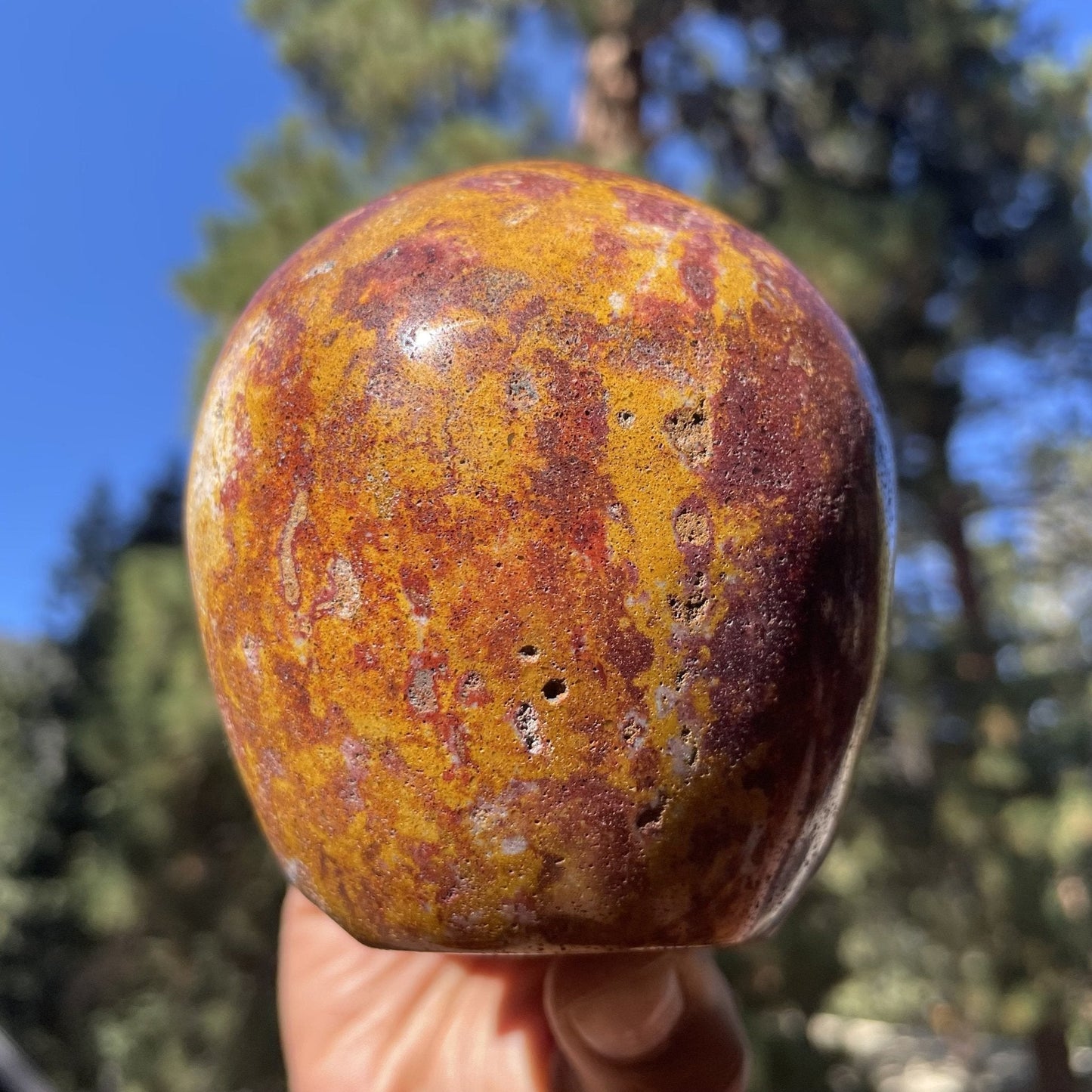 Van Gogh Jasper Skull - Sage & Magic