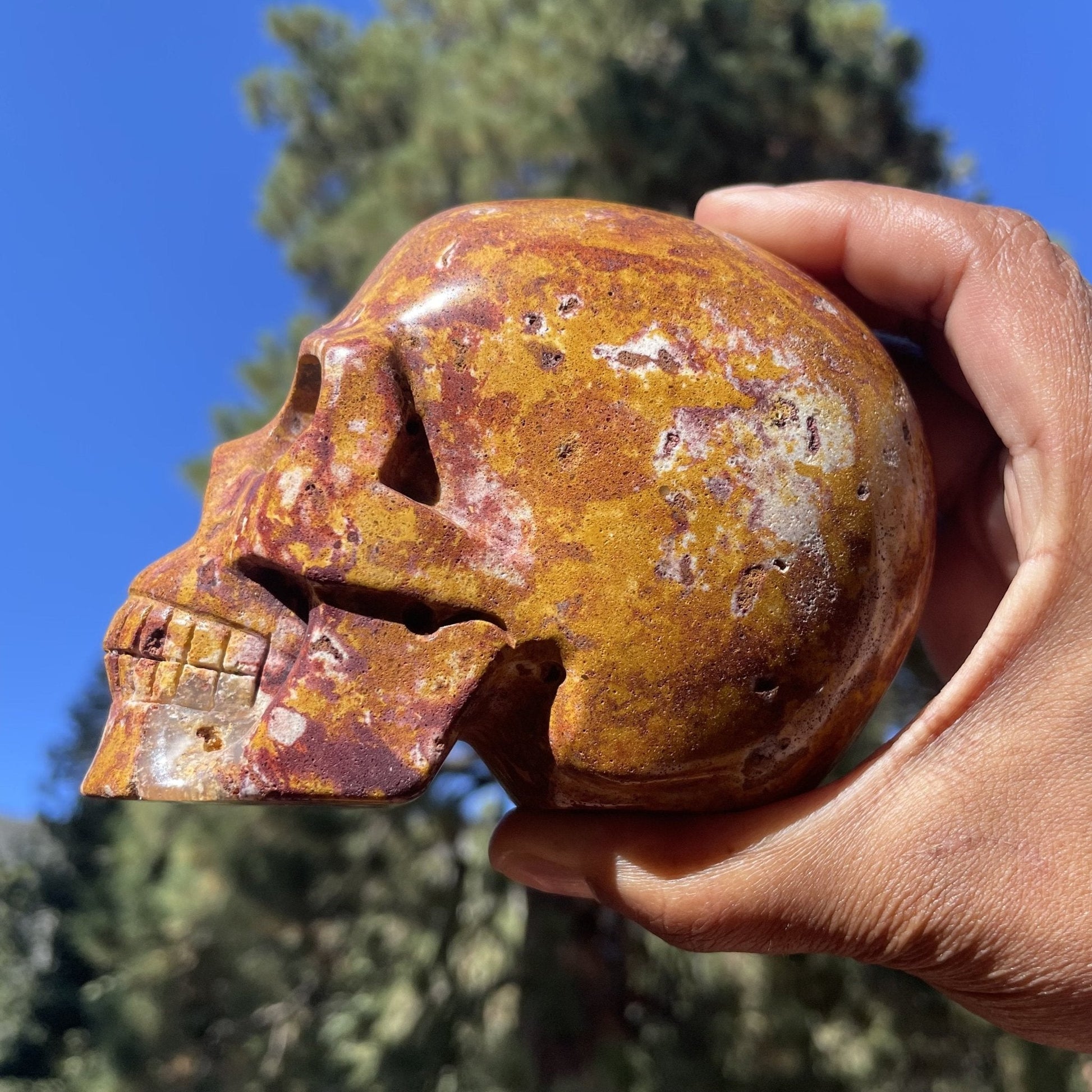 Van Gogh Jasper Skull - Sage & Magic