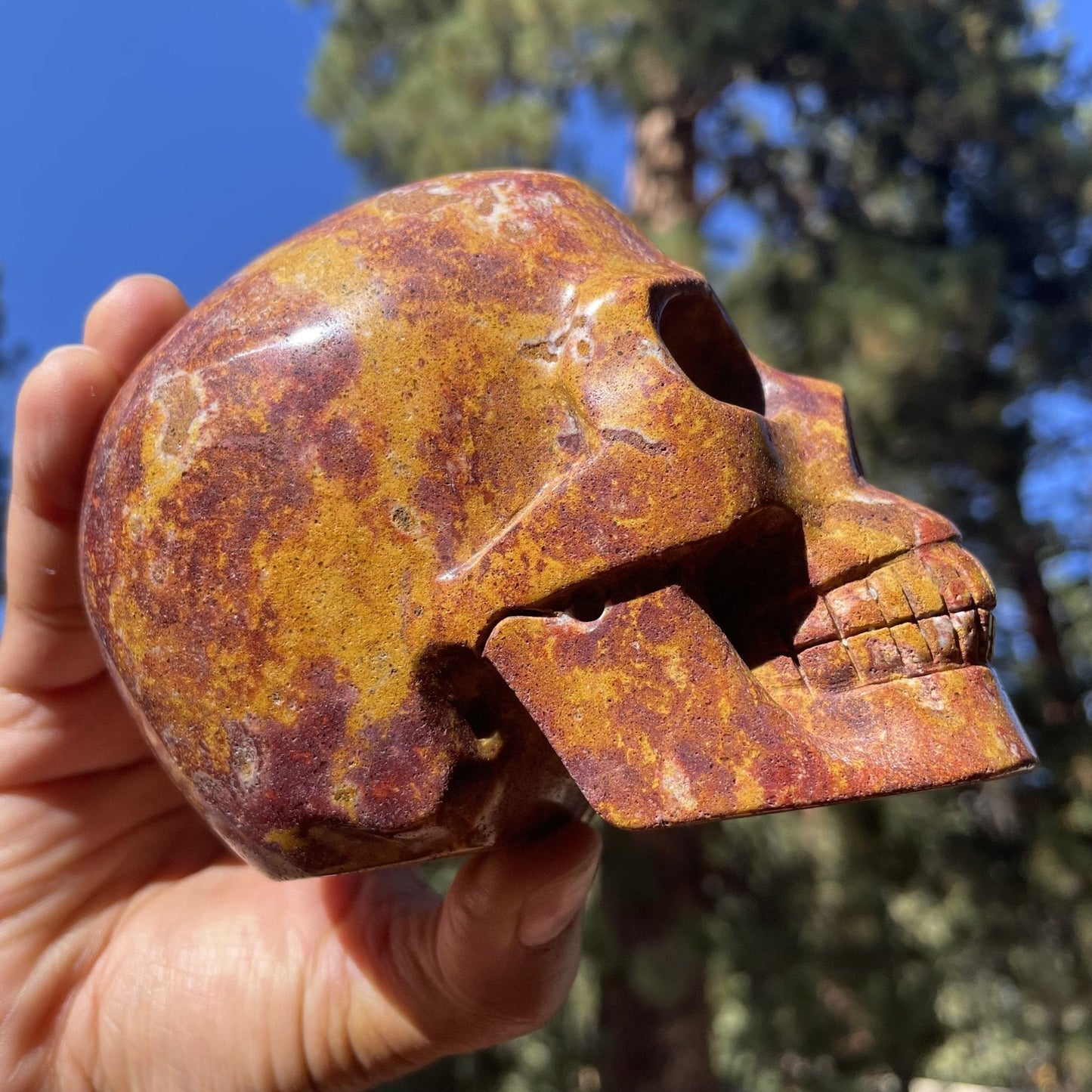 Van Gogh Jasper Skull - Sage & Magic