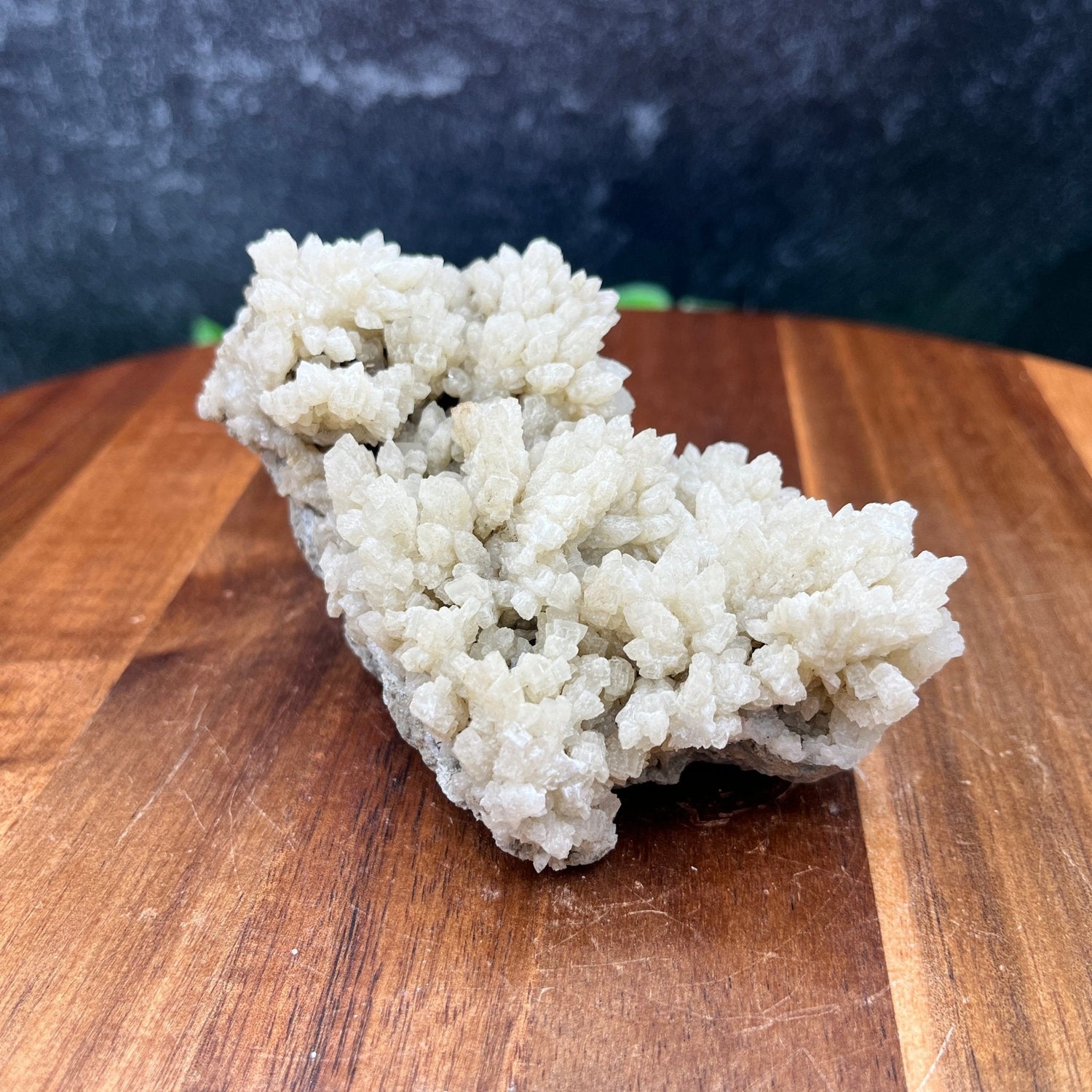 White Aragonite Cluster - Sage & Magic