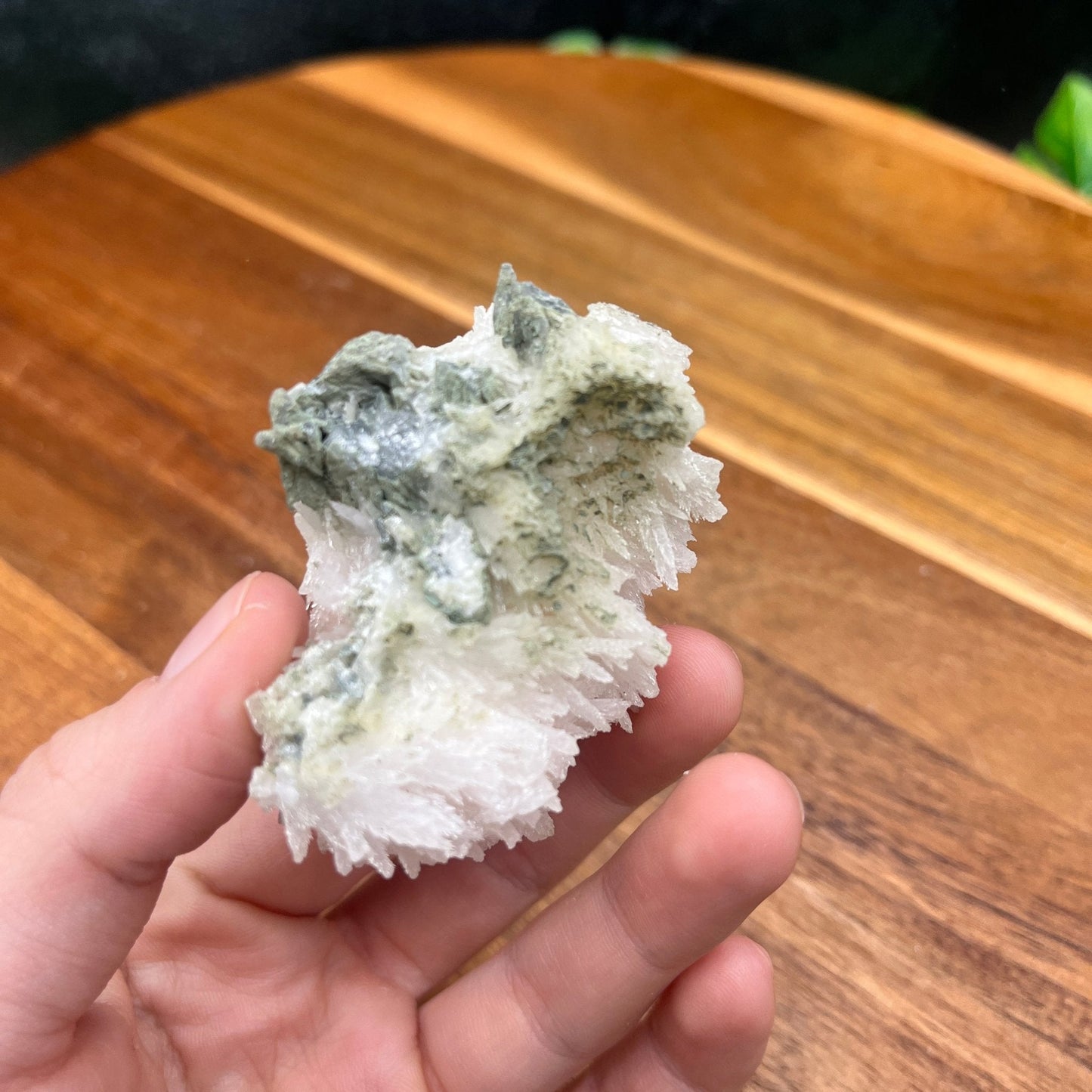 White Aragonite Specimen - Sage & Magic