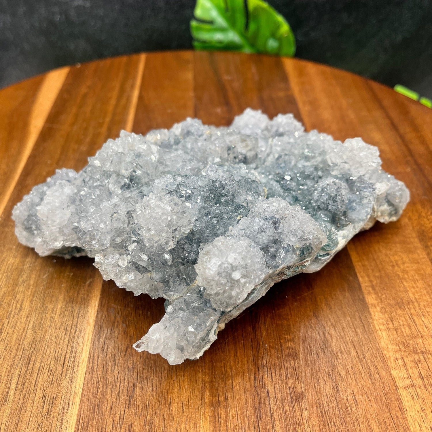 White Fluorite Flowering Cluster - Sage & Magic