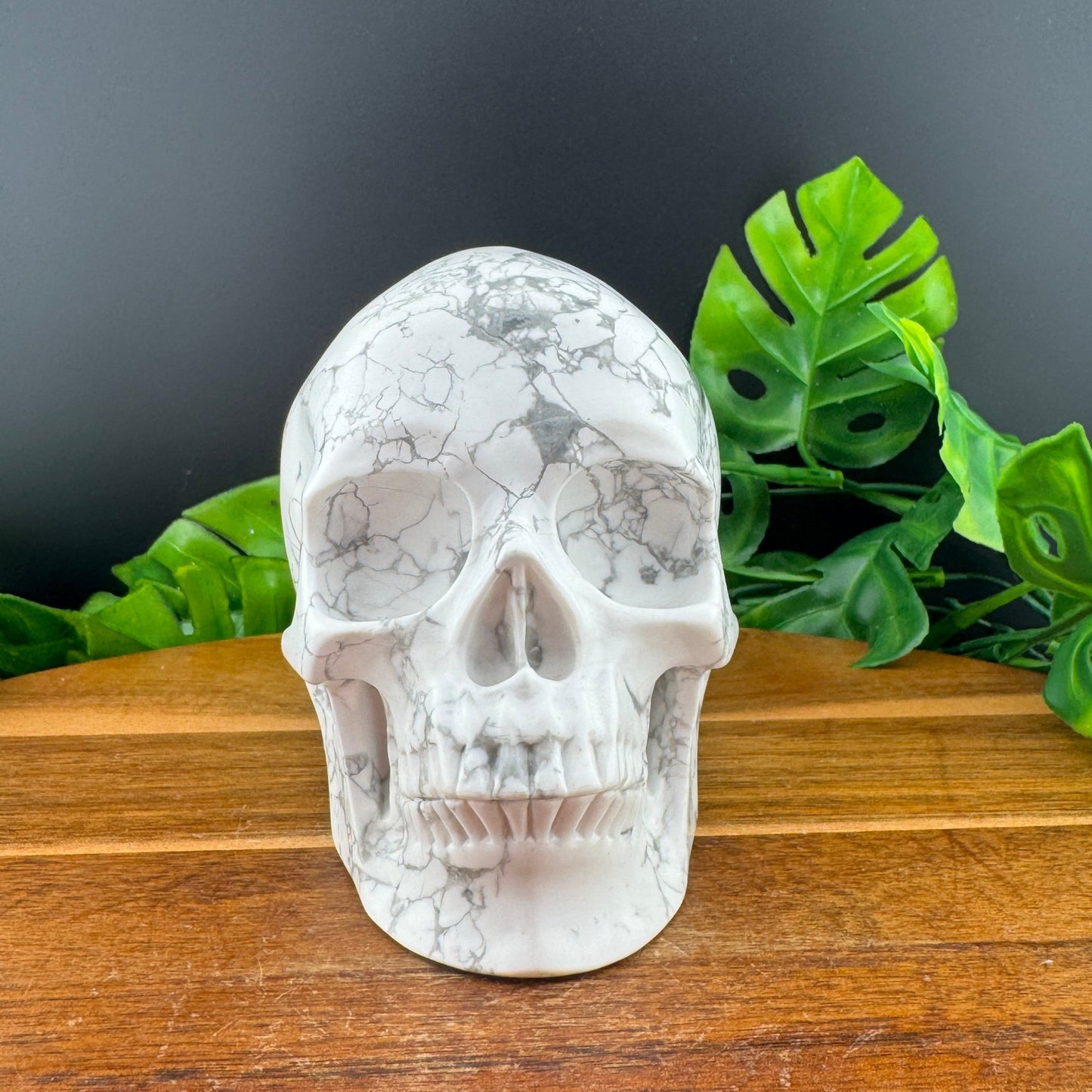 White Howlite Skull - Sage & Magic