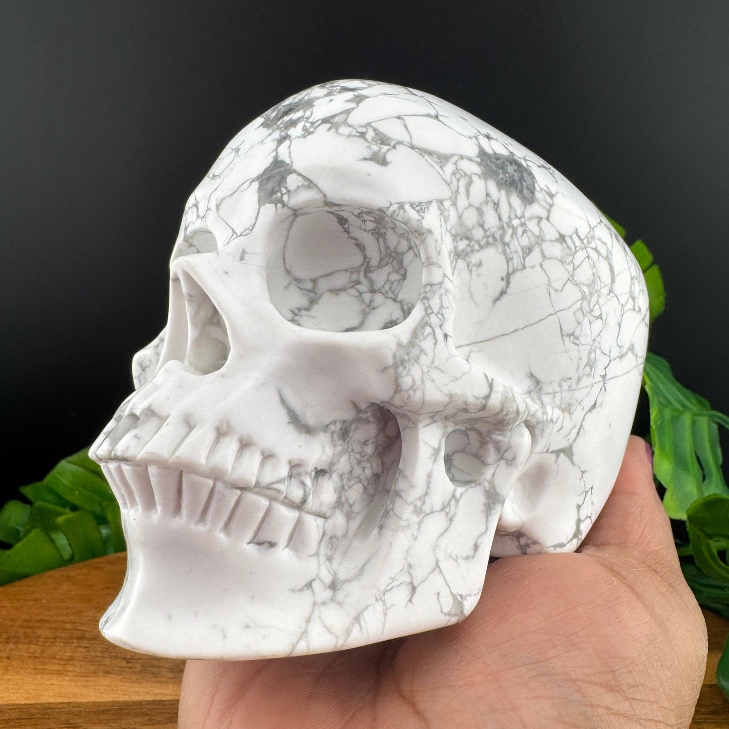 White Howlite Skull - Sage & Magic