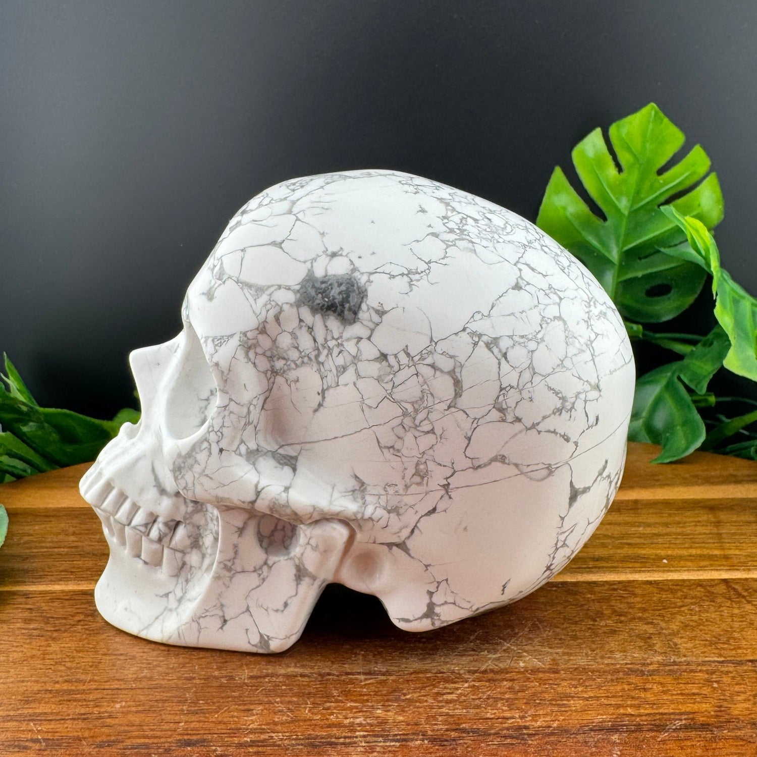 White Howlite Skull - Sage & Magic