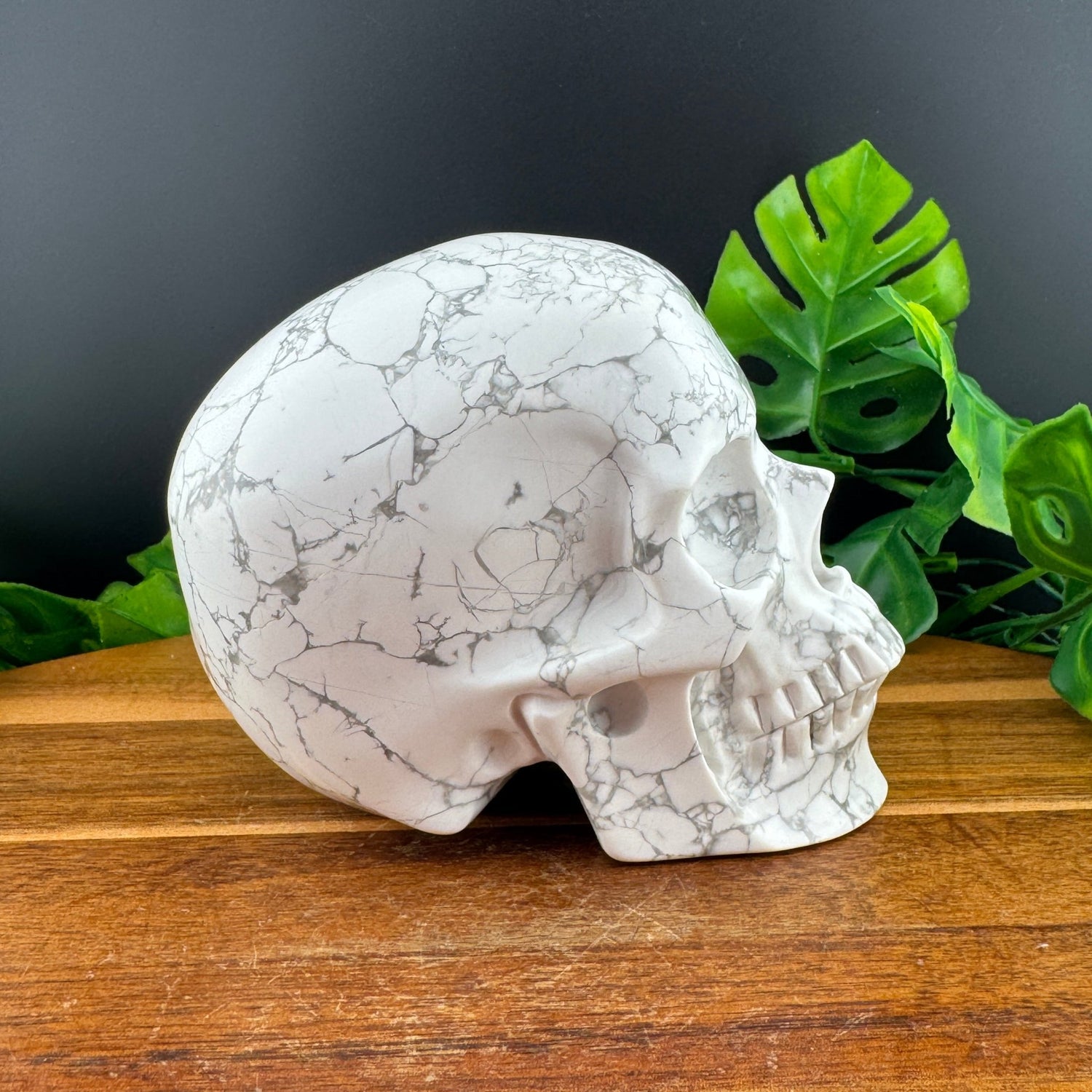 White Howlite Skull - Sage & Magic