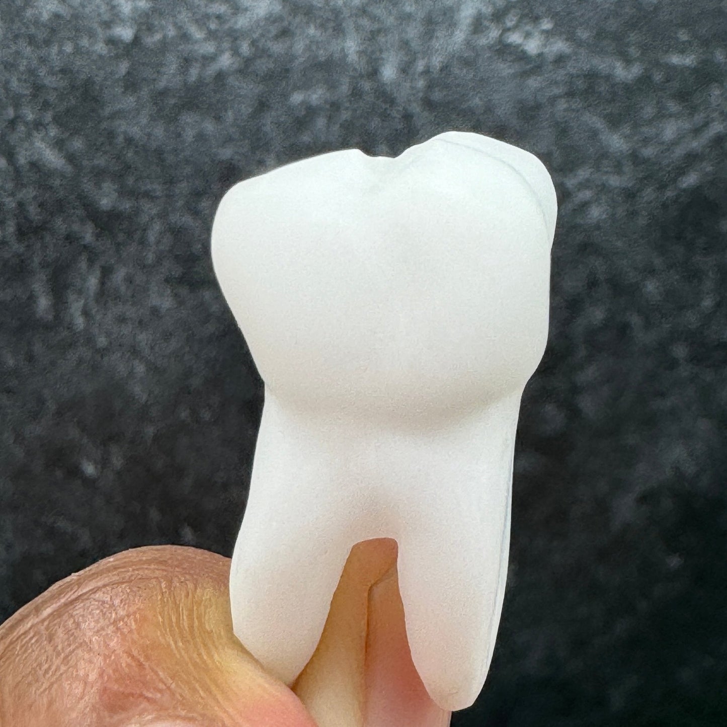 White Jade Tooth Carving - Sage & Magic