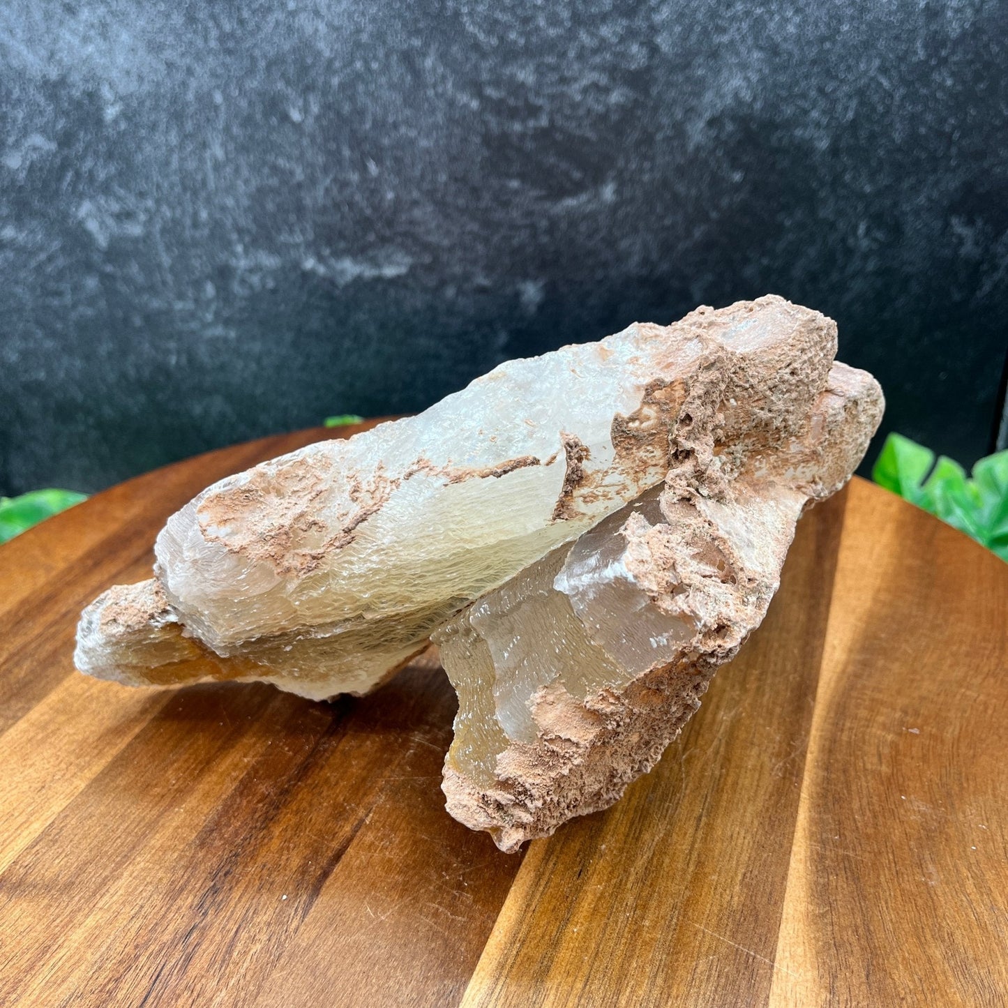 XL Crossed Selenite Specimen - Sage & Magic