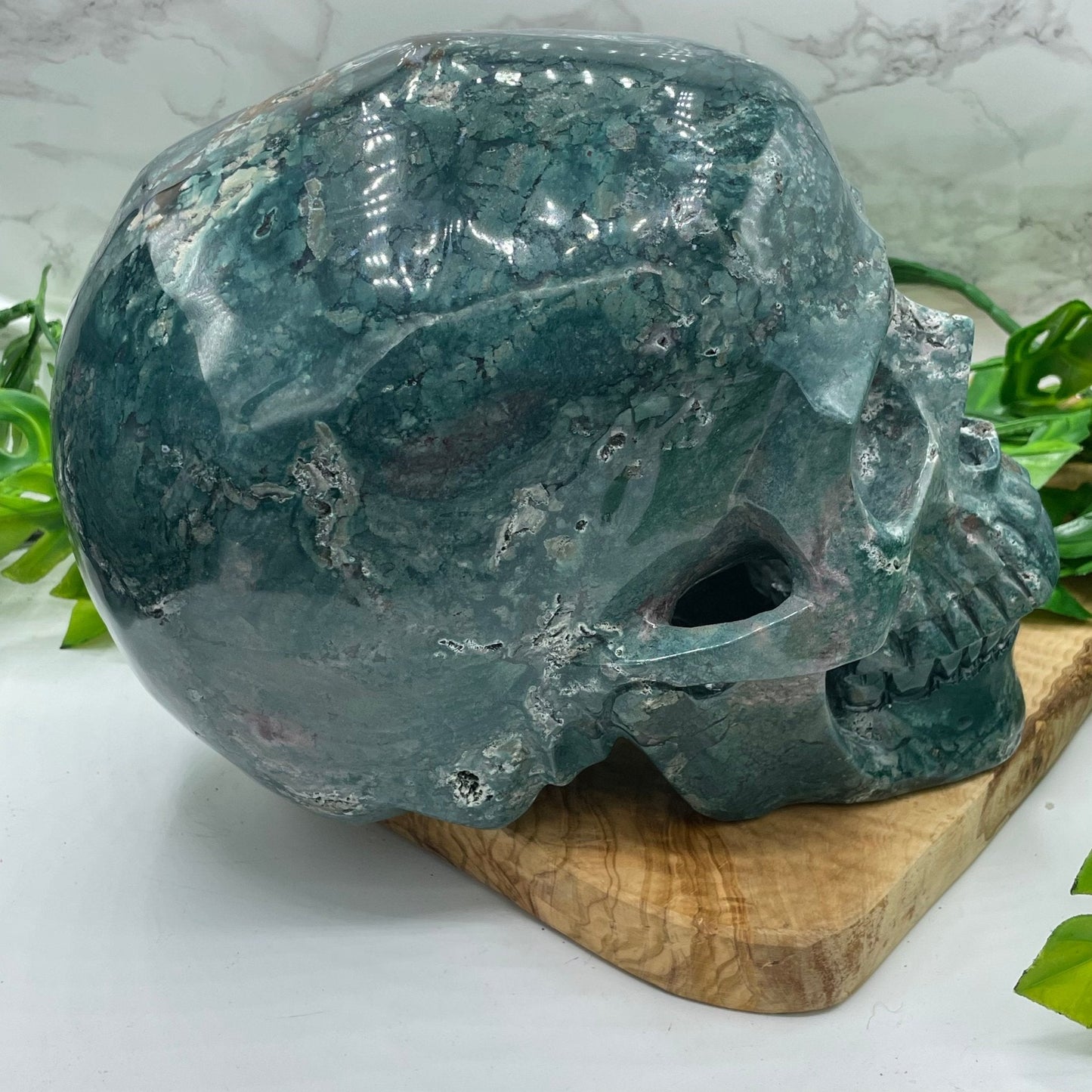 XL Ocean Jasper Skull - Sage & Magic