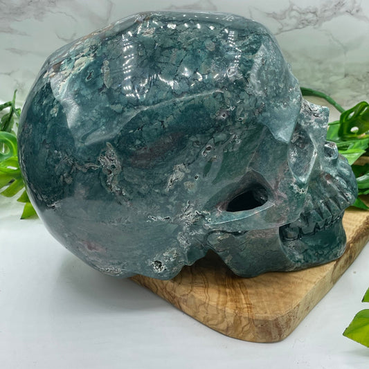 XL Ocean Jasper Skull - Sage & Magic