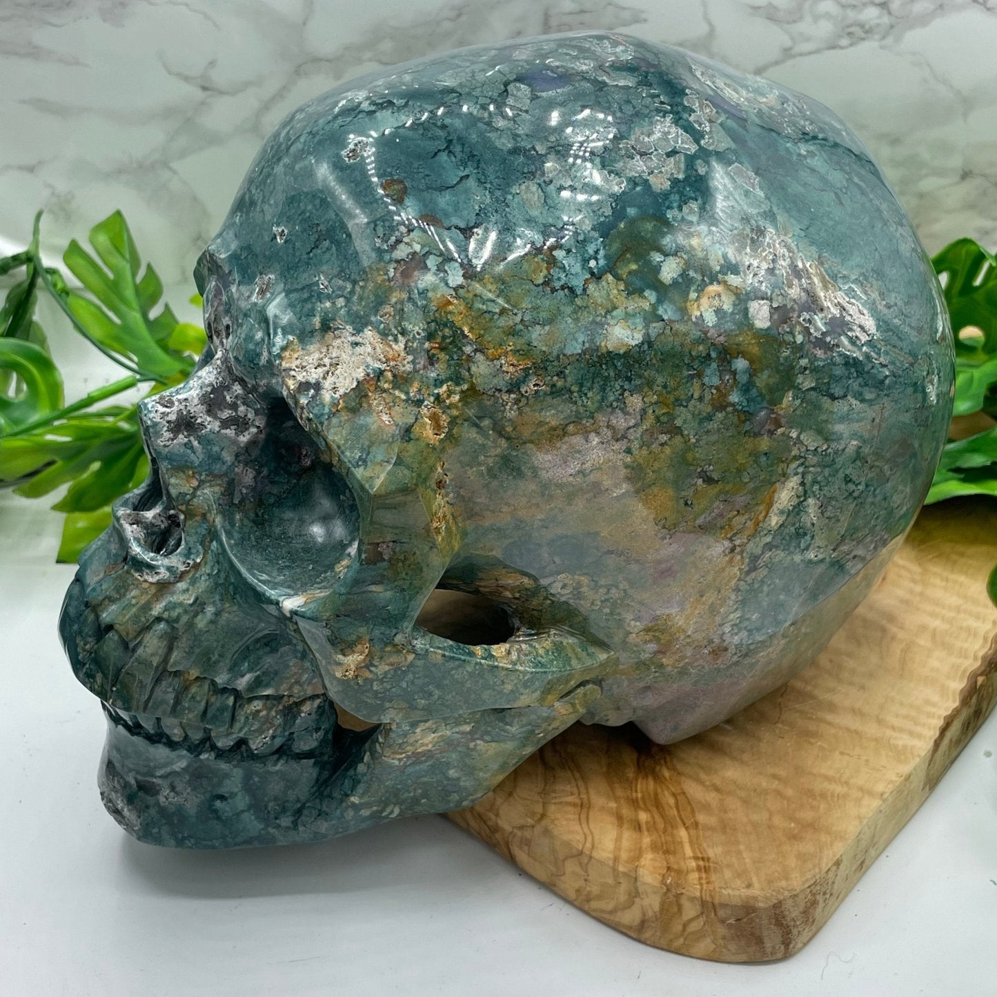 XL Ocean Jasper Skull - Sage & Magic