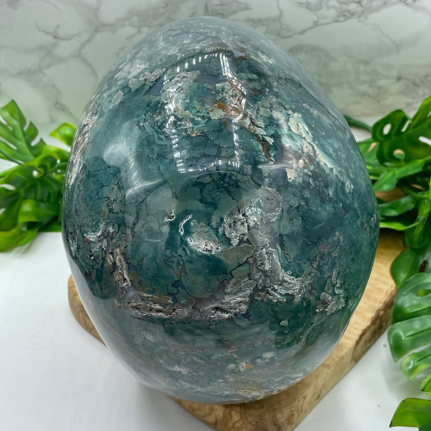 XL Ocean Jasper Skull - Sage & Magic