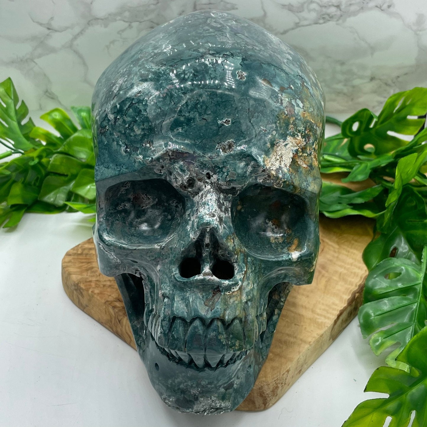 XL Ocean Jasper Skull - Sage & Magic