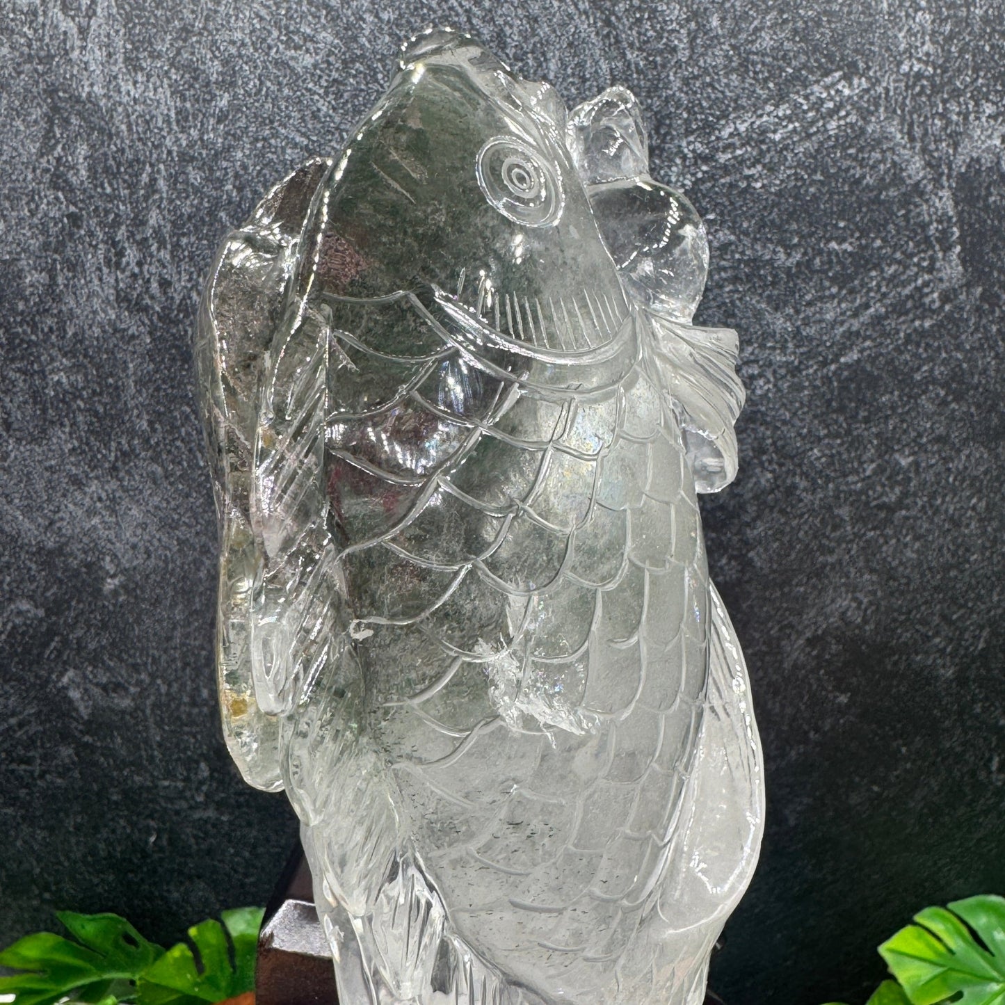 XL Rainbow Clear Quartz Lucky Fish on Stand - Sage & Magic